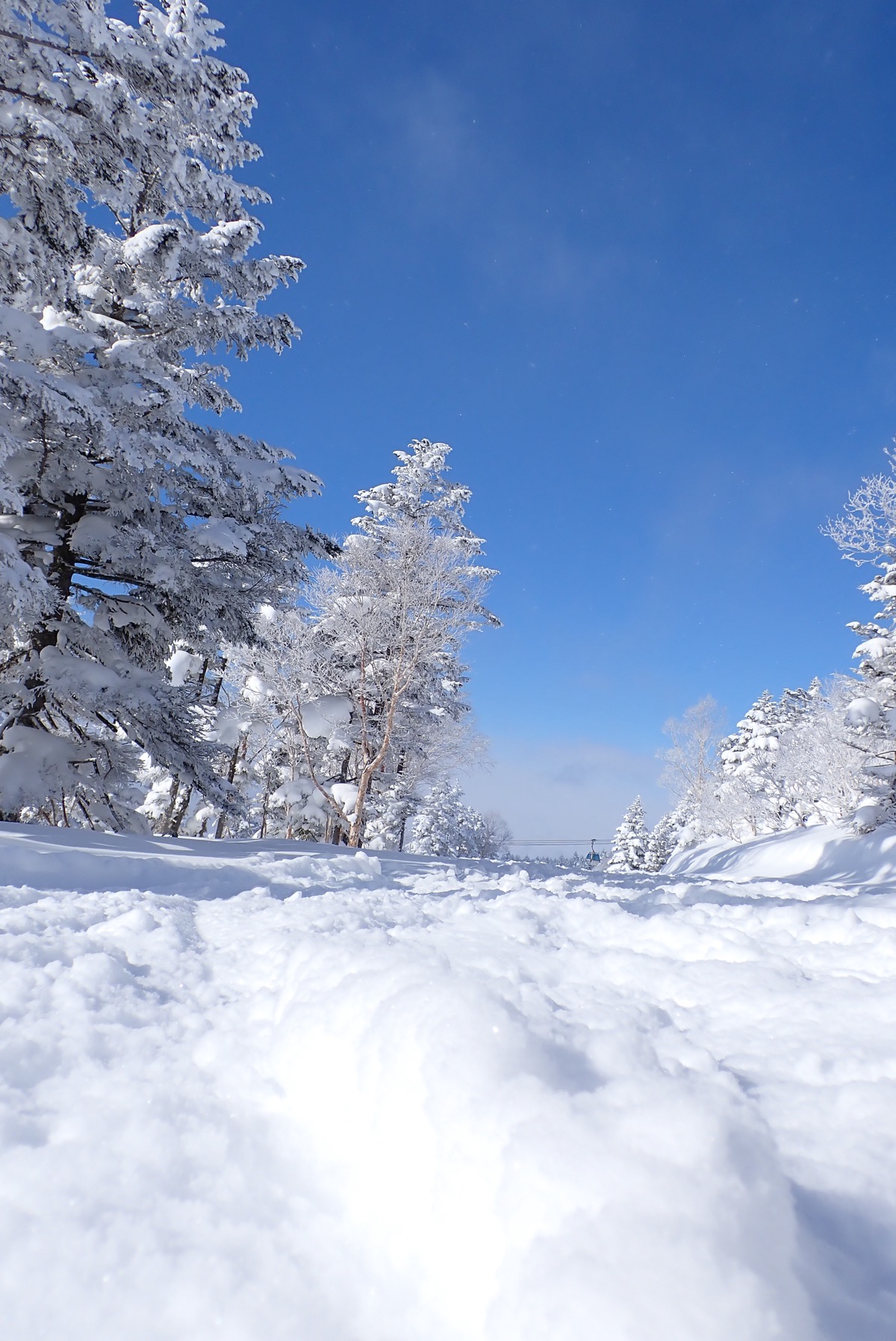 志賀高原 焼額山