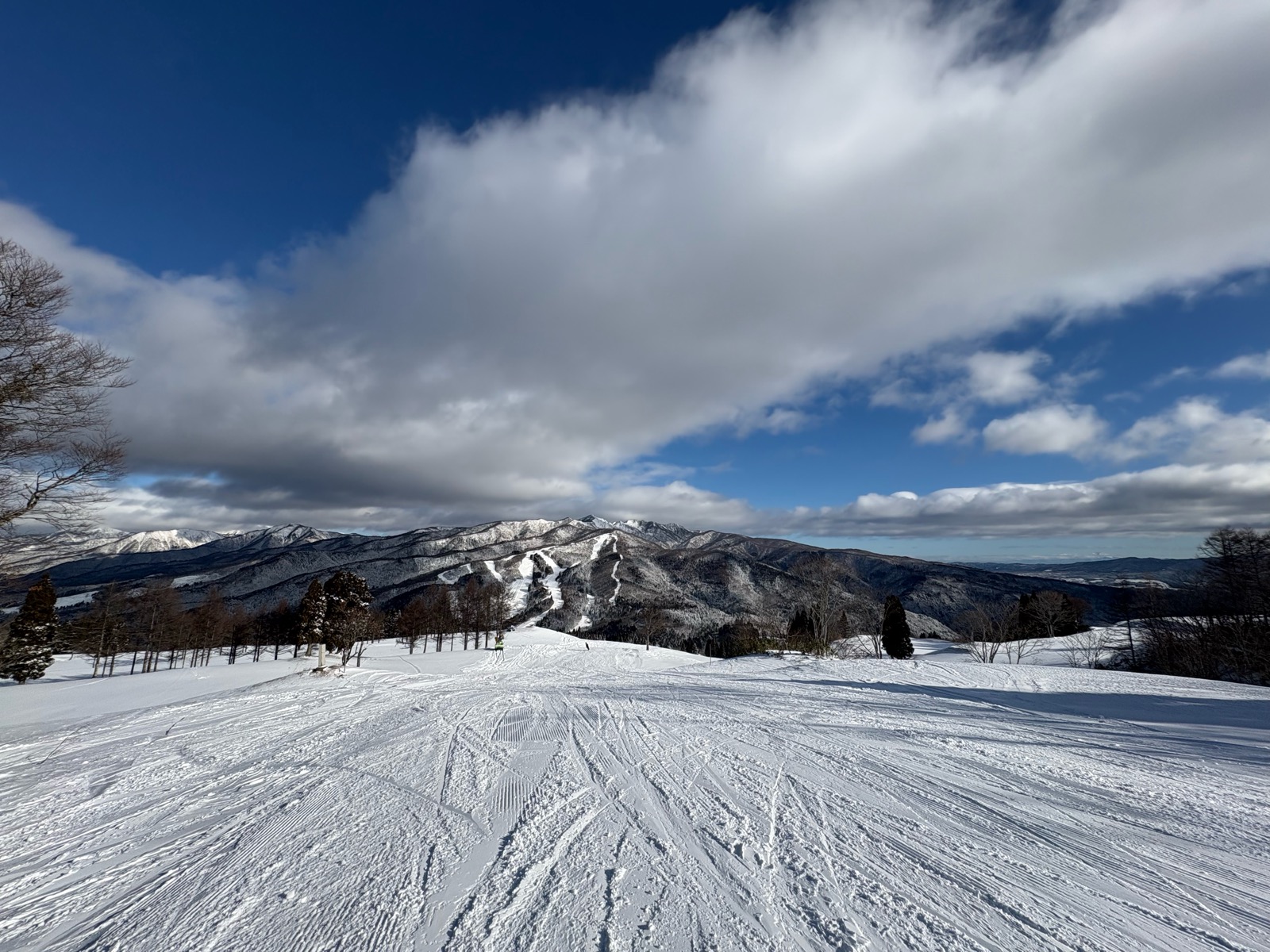 スノーウェーブパーク白鳥高原