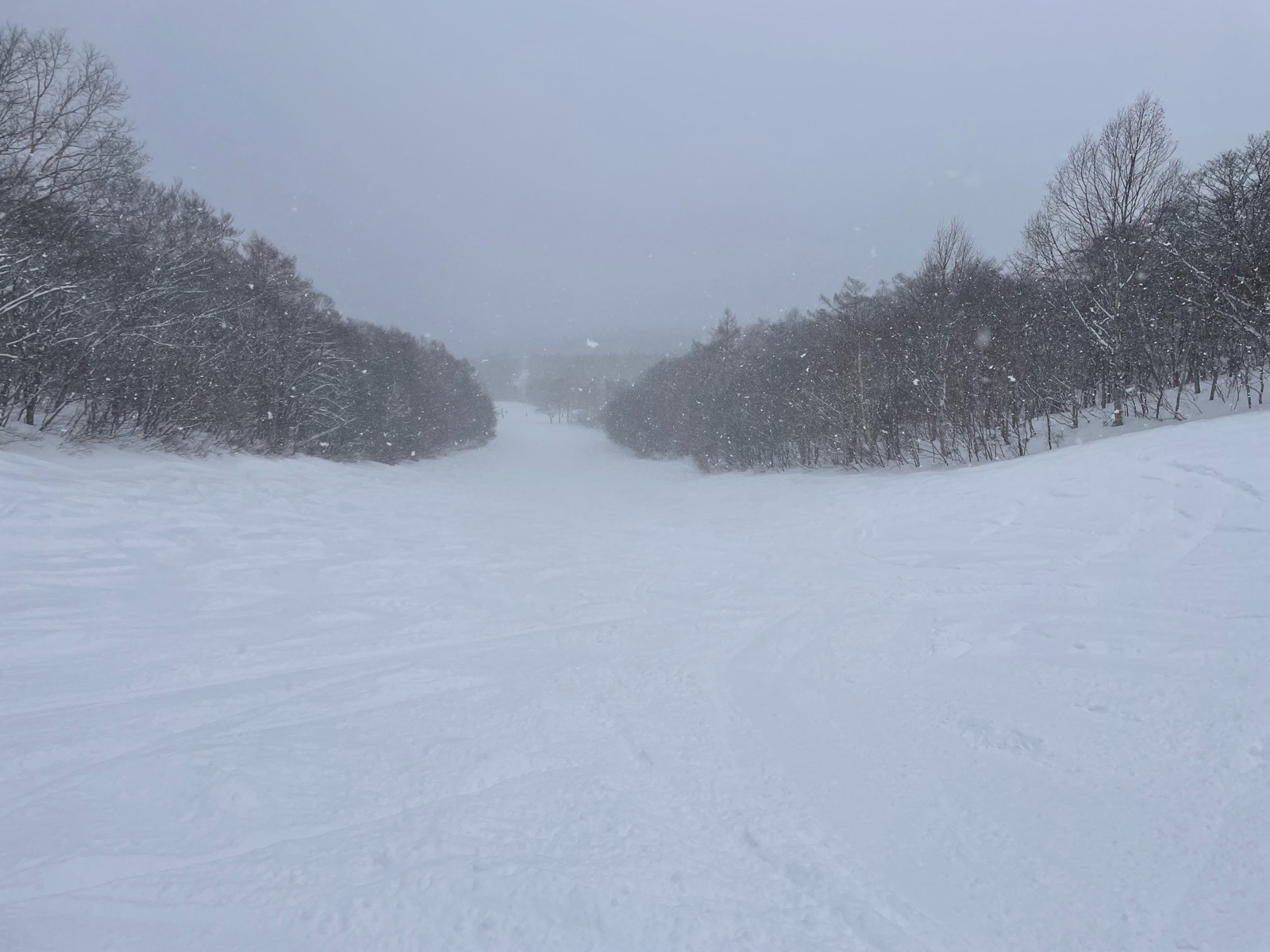 みやぎ蔵王白石スキー場