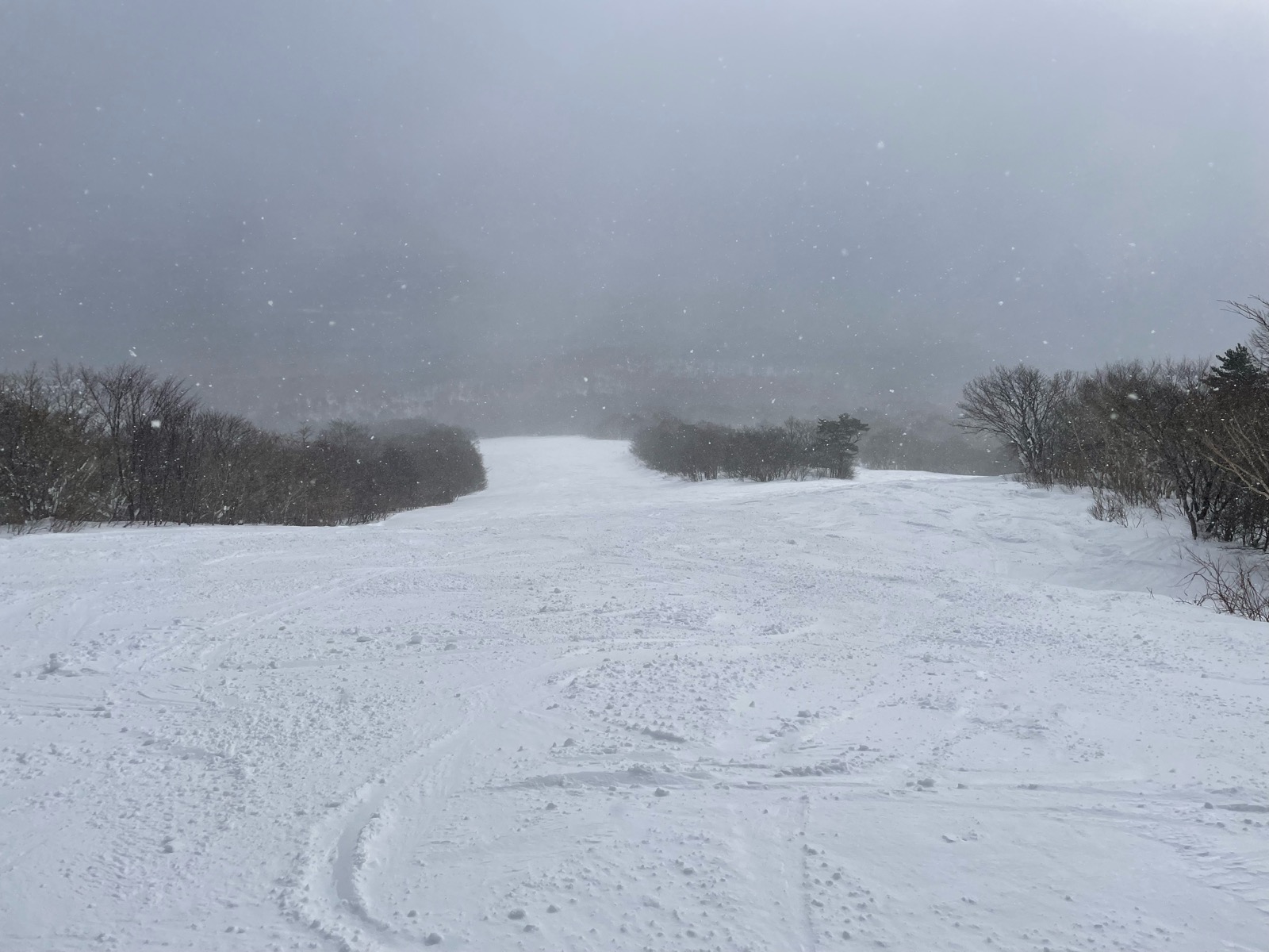 みやぎ蔵王白石スキー場