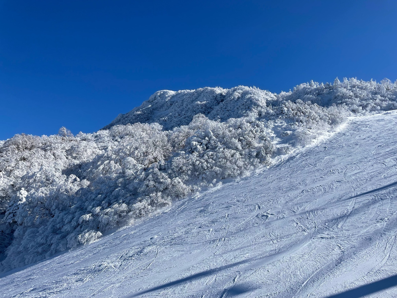 蔵王温泉スキー場