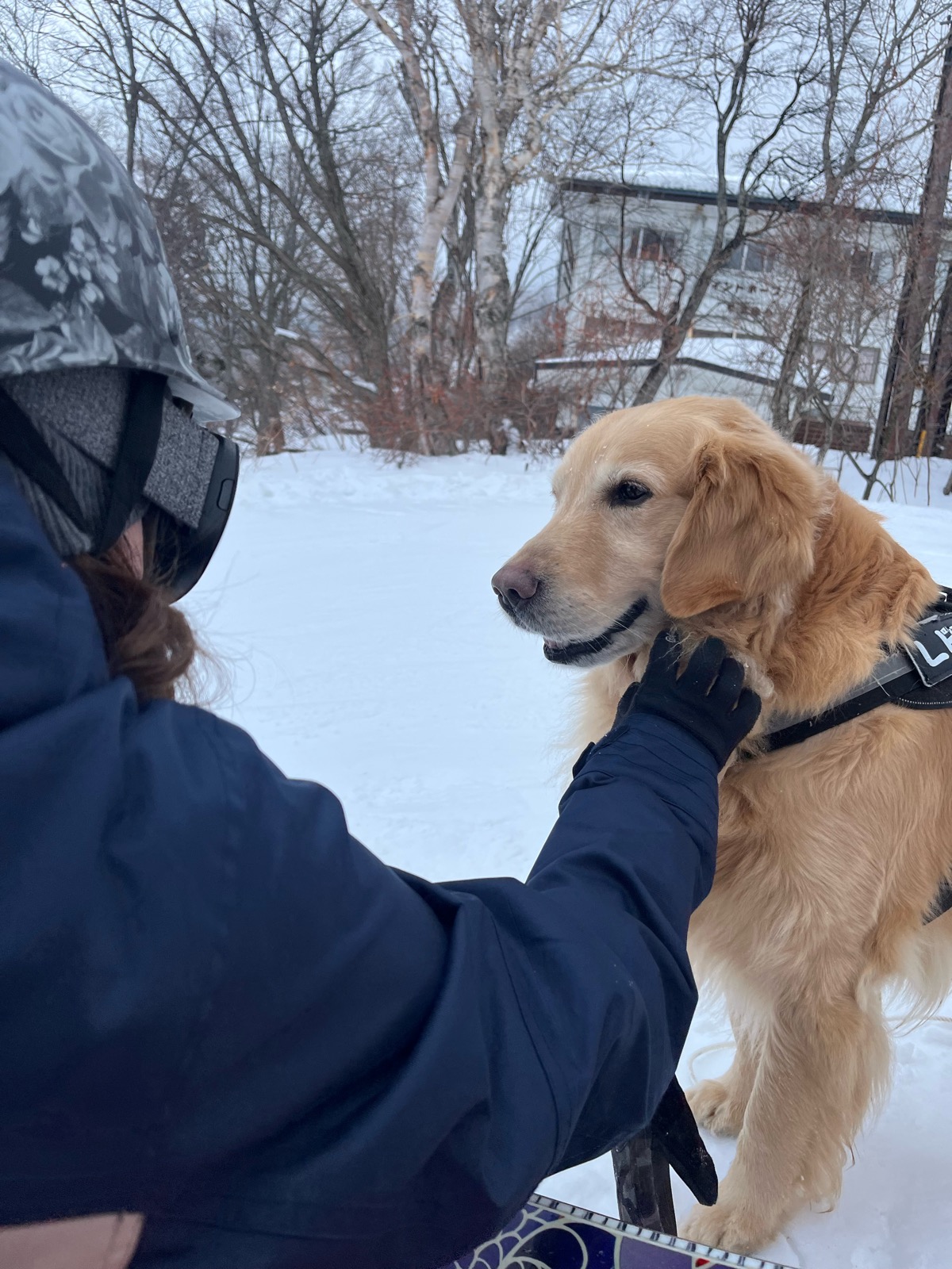 志賀高原 サンバレー、丸池、蓮池