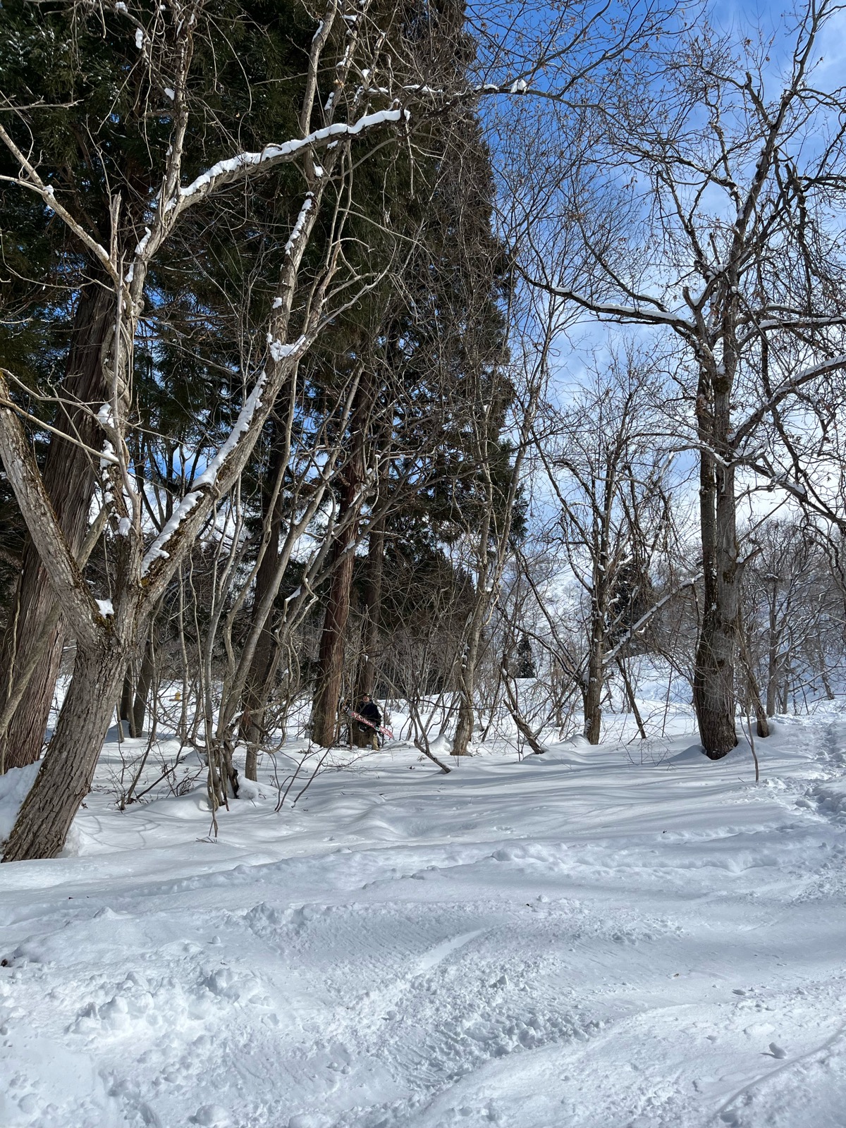 湯沢中里スノーリゾート