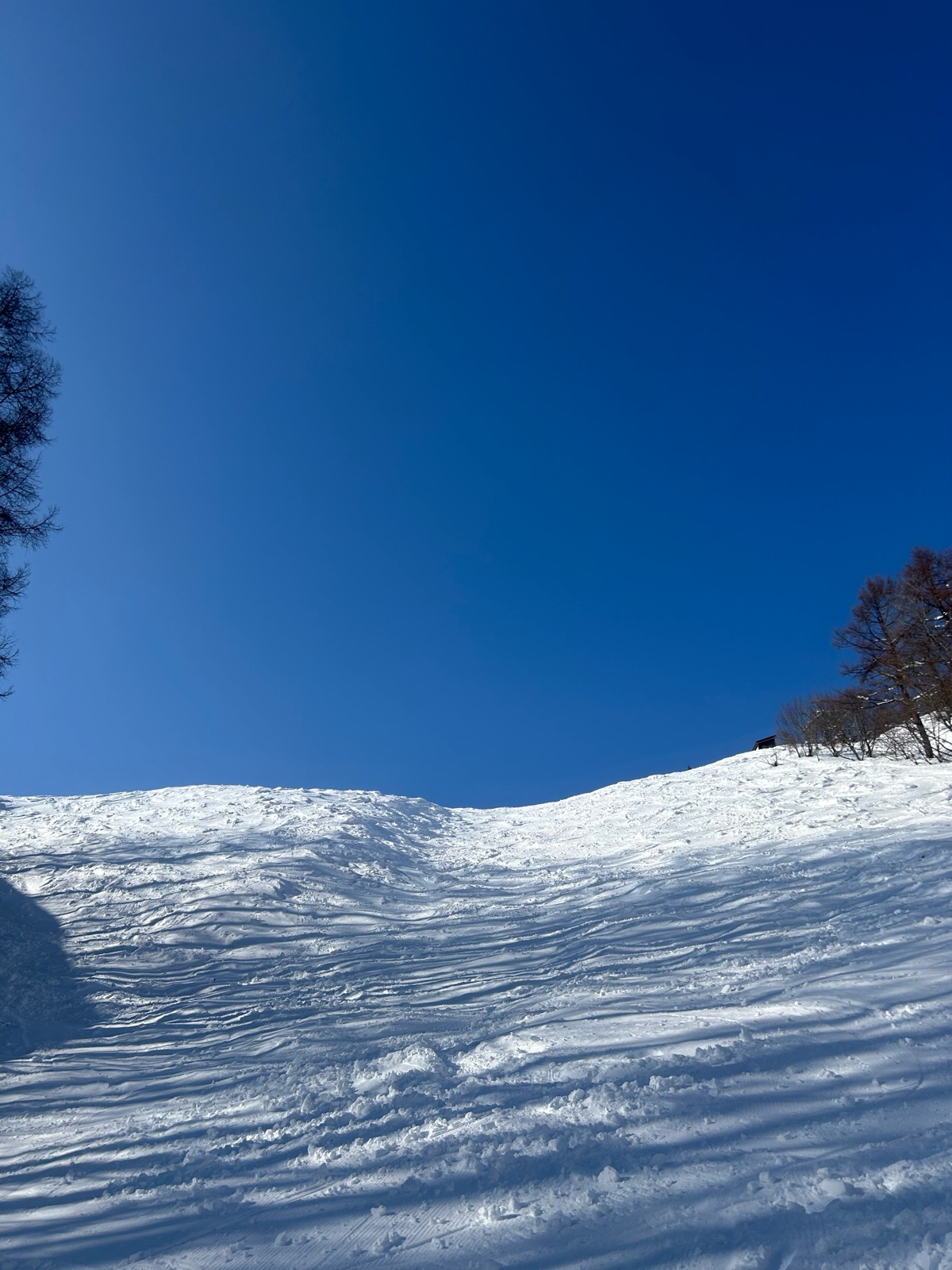 スカイバレイスキー場