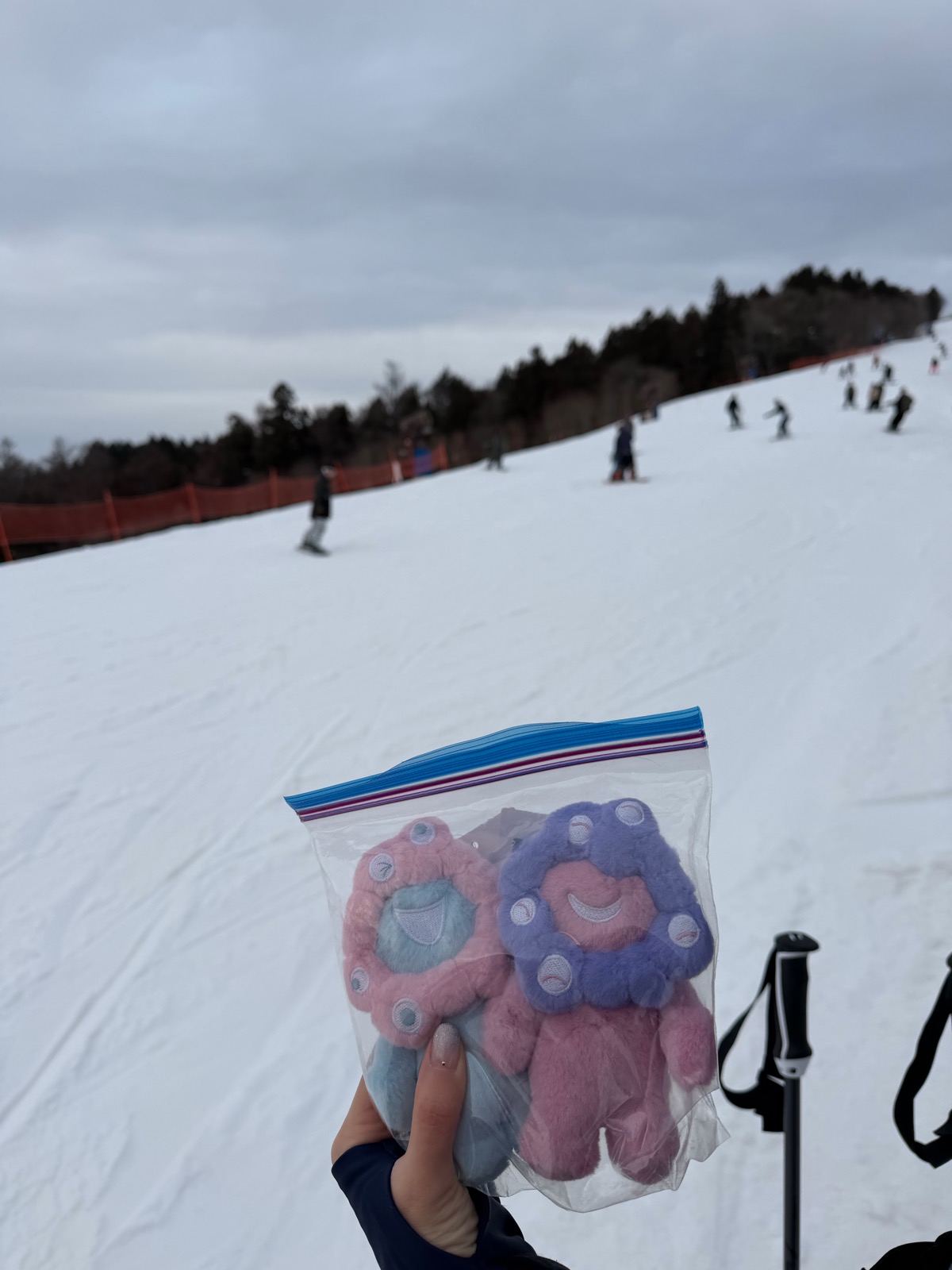 鷲ヶ岳スキー場