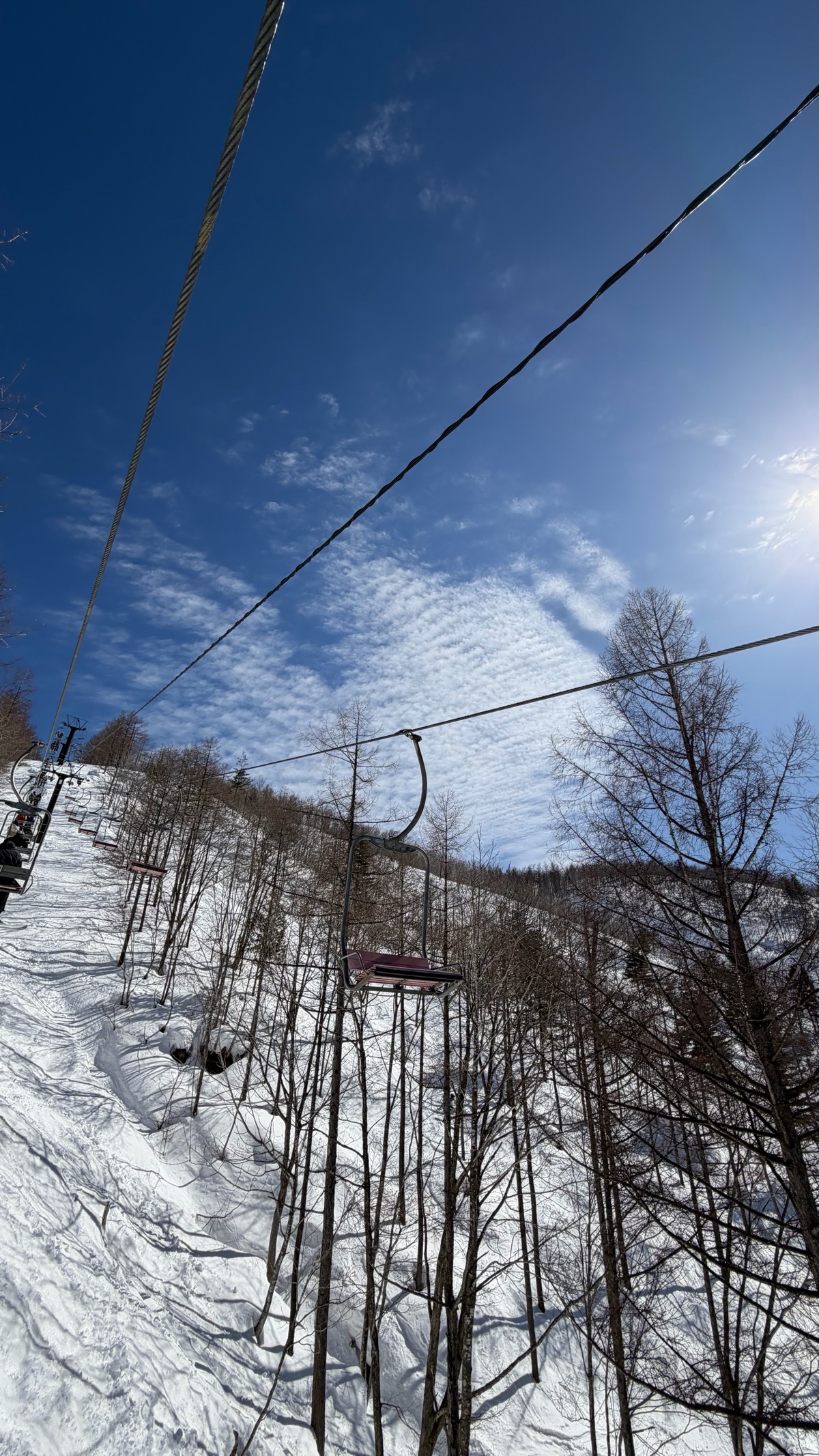白馬岩岳スノーフィールド
