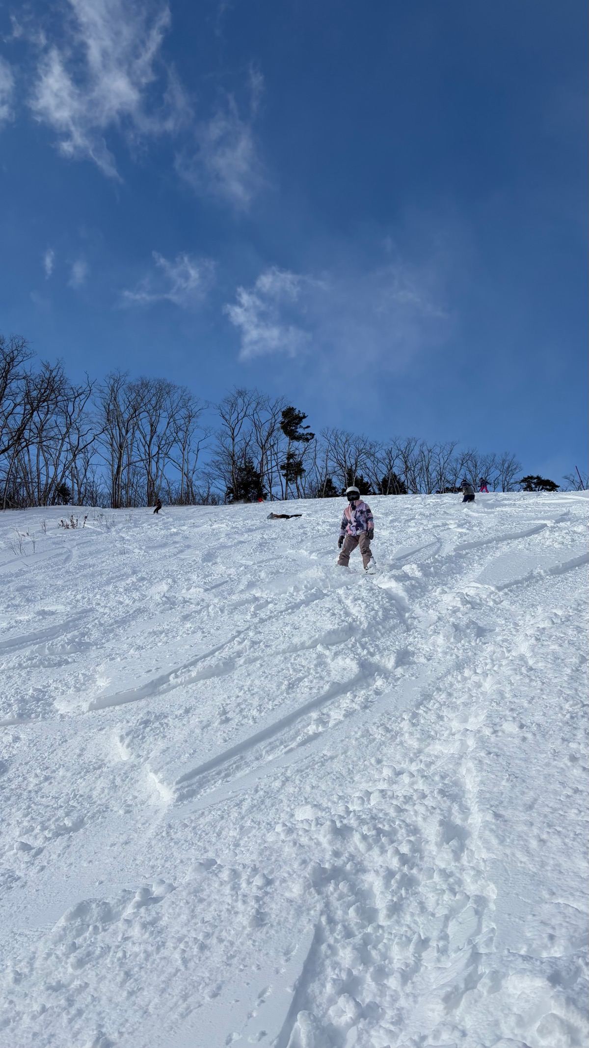 白馬岩岳スノーフィールド