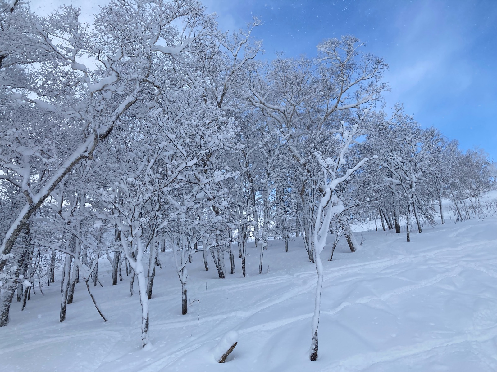 ルスツリゾート