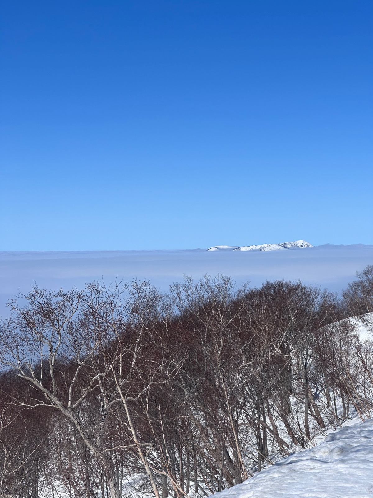 スキージャム勝山