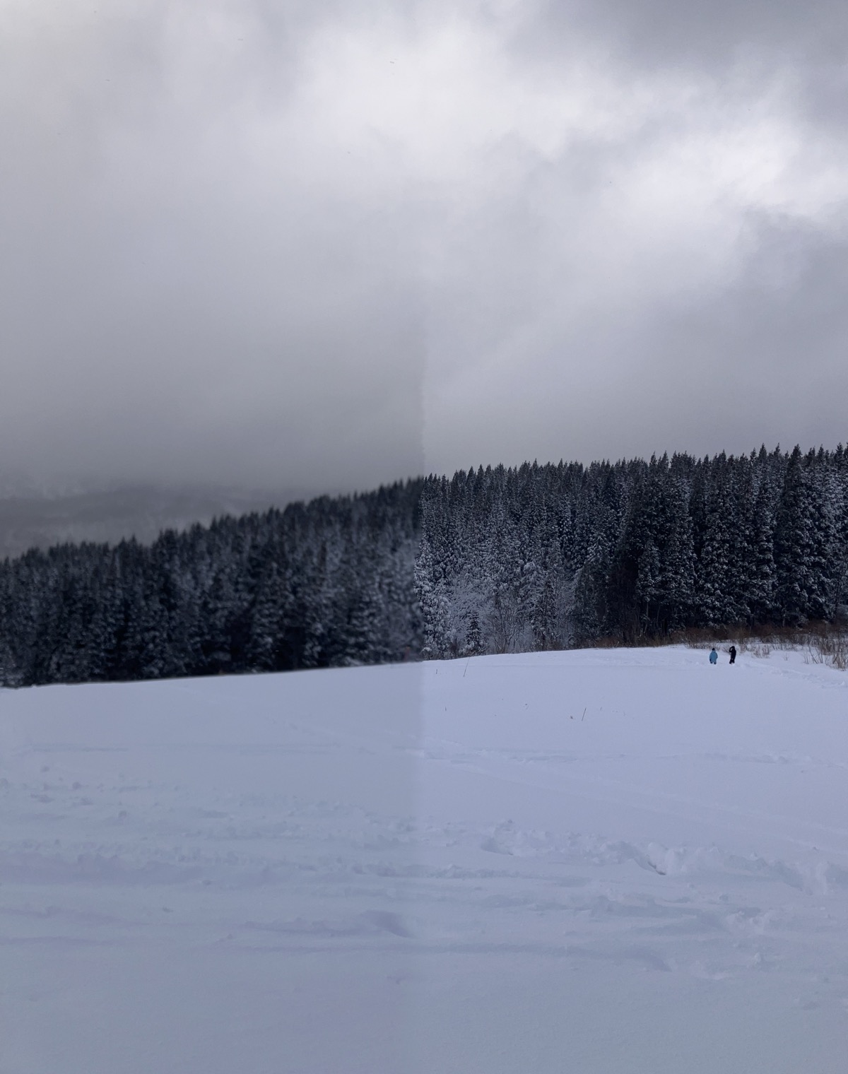 湯殿山スキー場