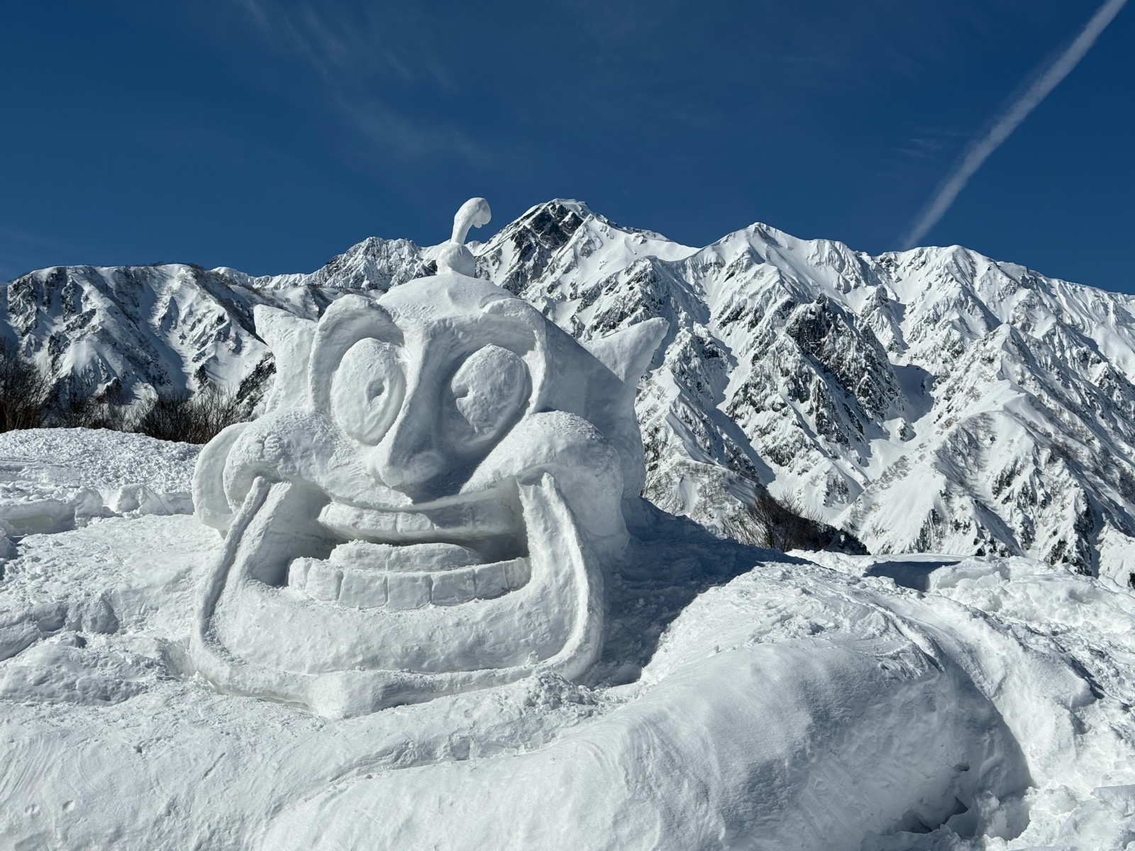 Hakuba47 ウィンタースポーツパーク 