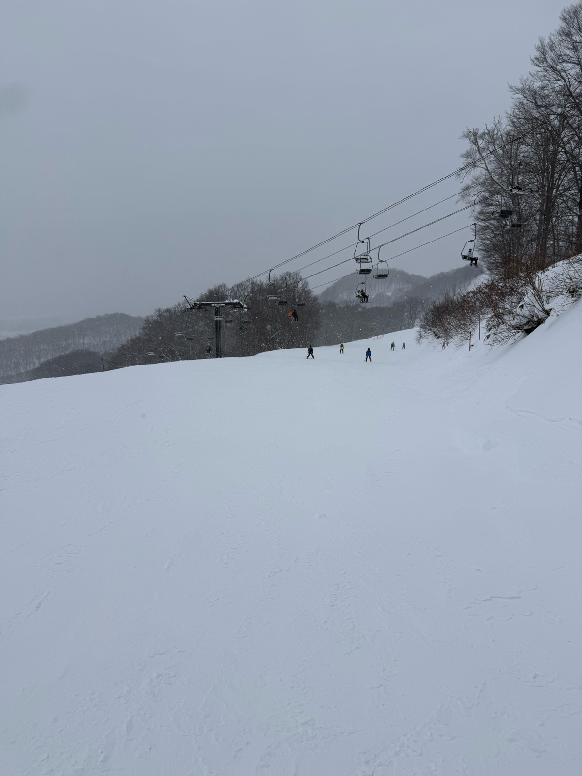 Hakuba47 ウィンタースポーツパーク 