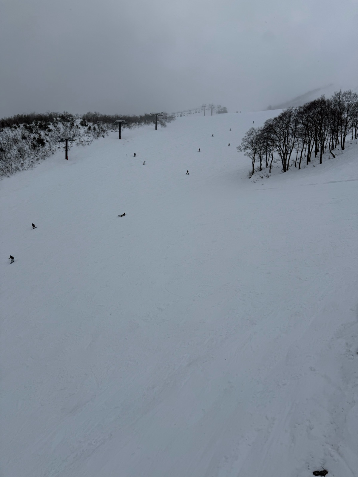 Hakuba47 ウィンタースポーツパーク 