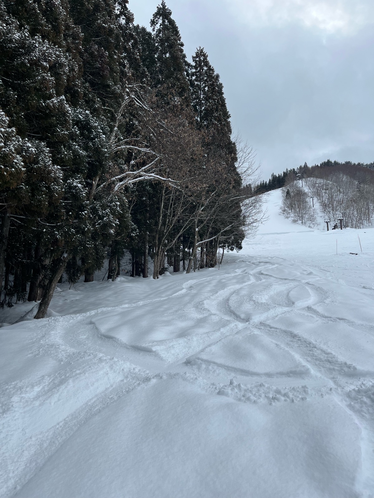 湯沢パークスキー場