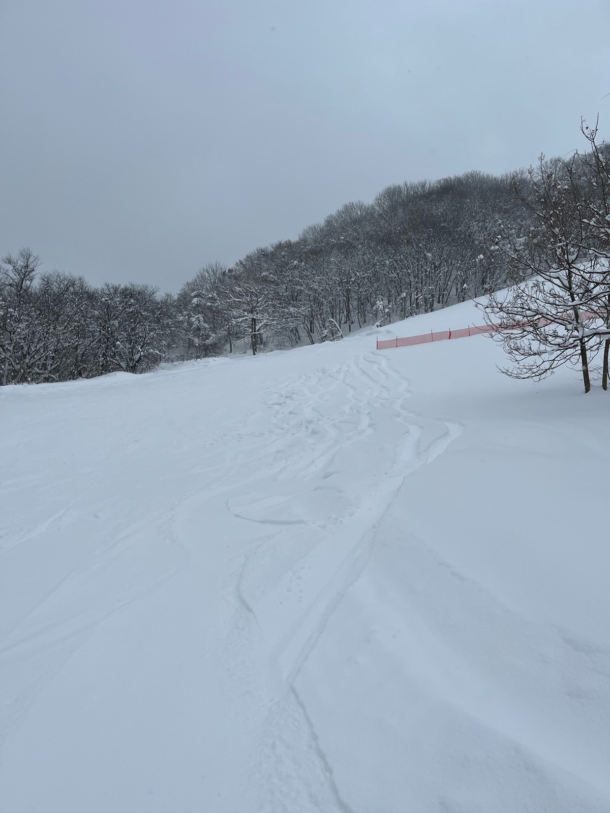 金沢市営医王山