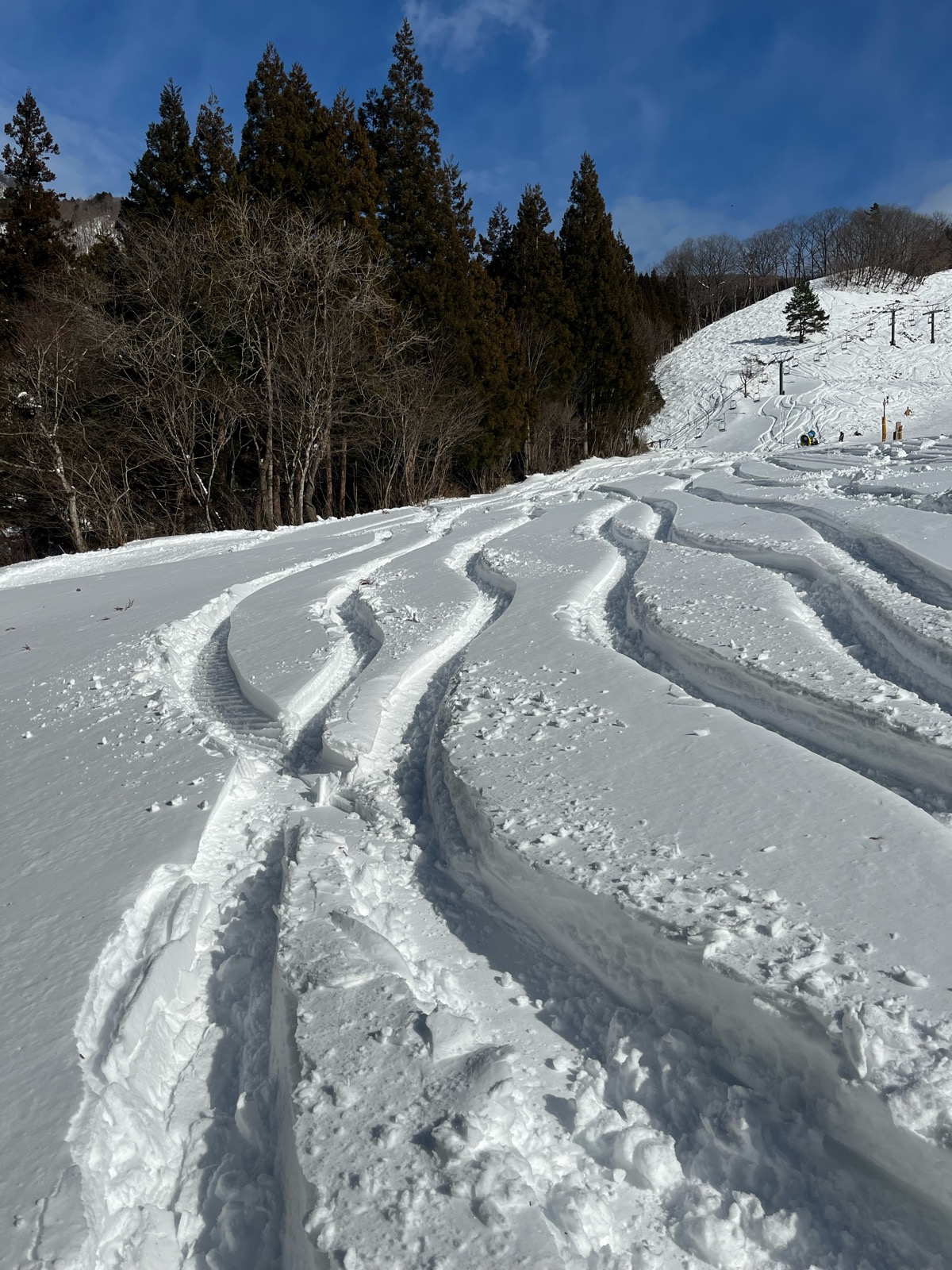 ホワイトバレースキー場