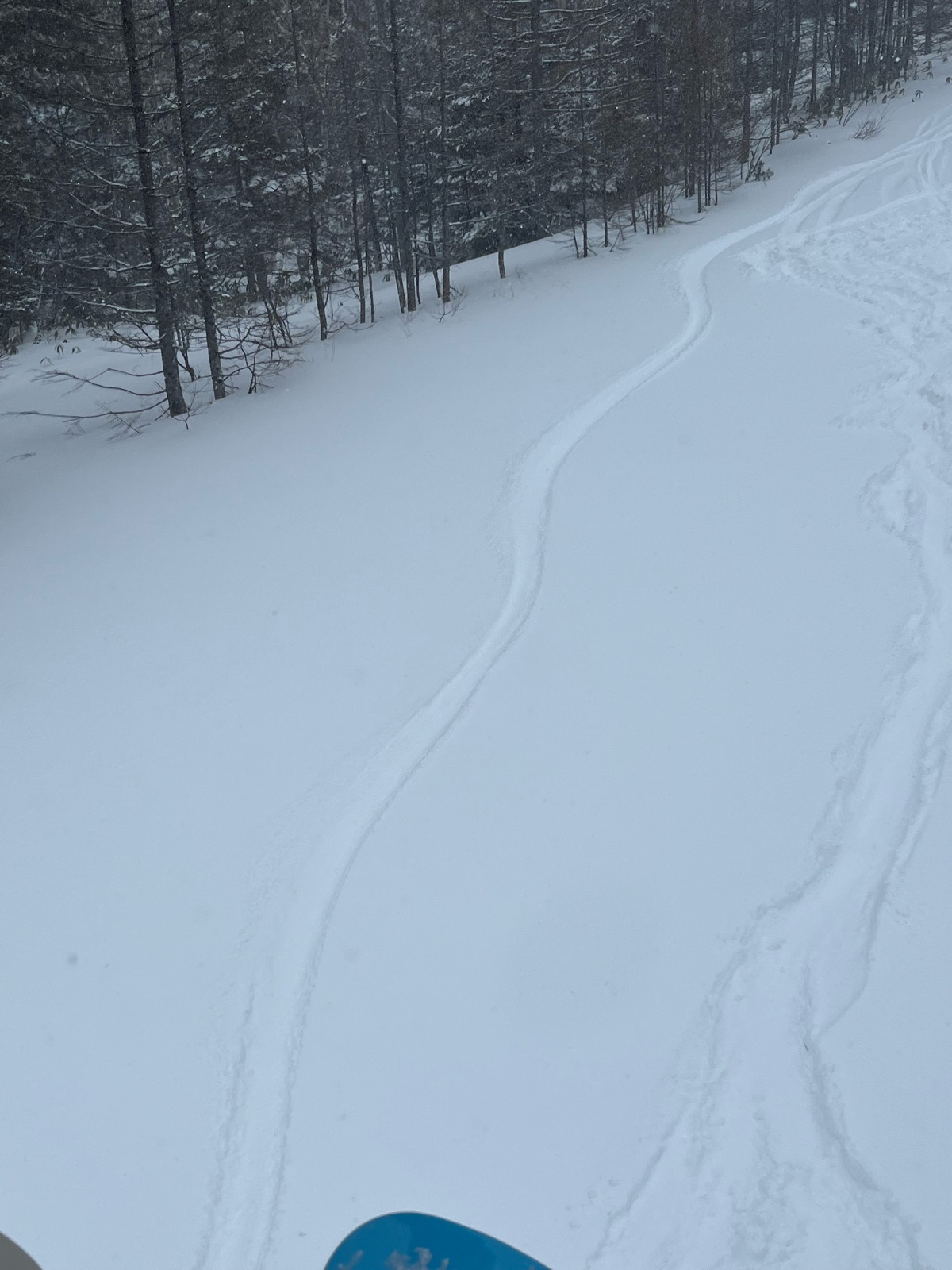 Mt.乗鞍スノーリゾート