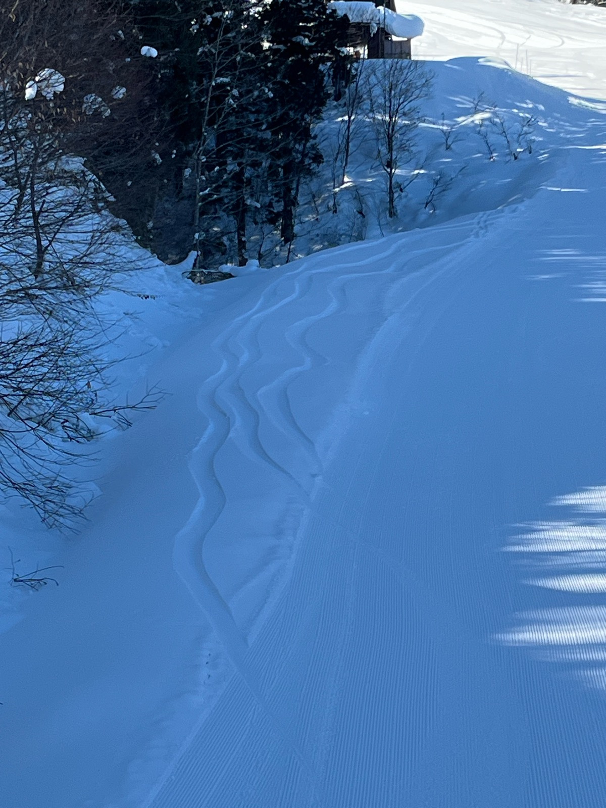 飛騨かわいスキー場