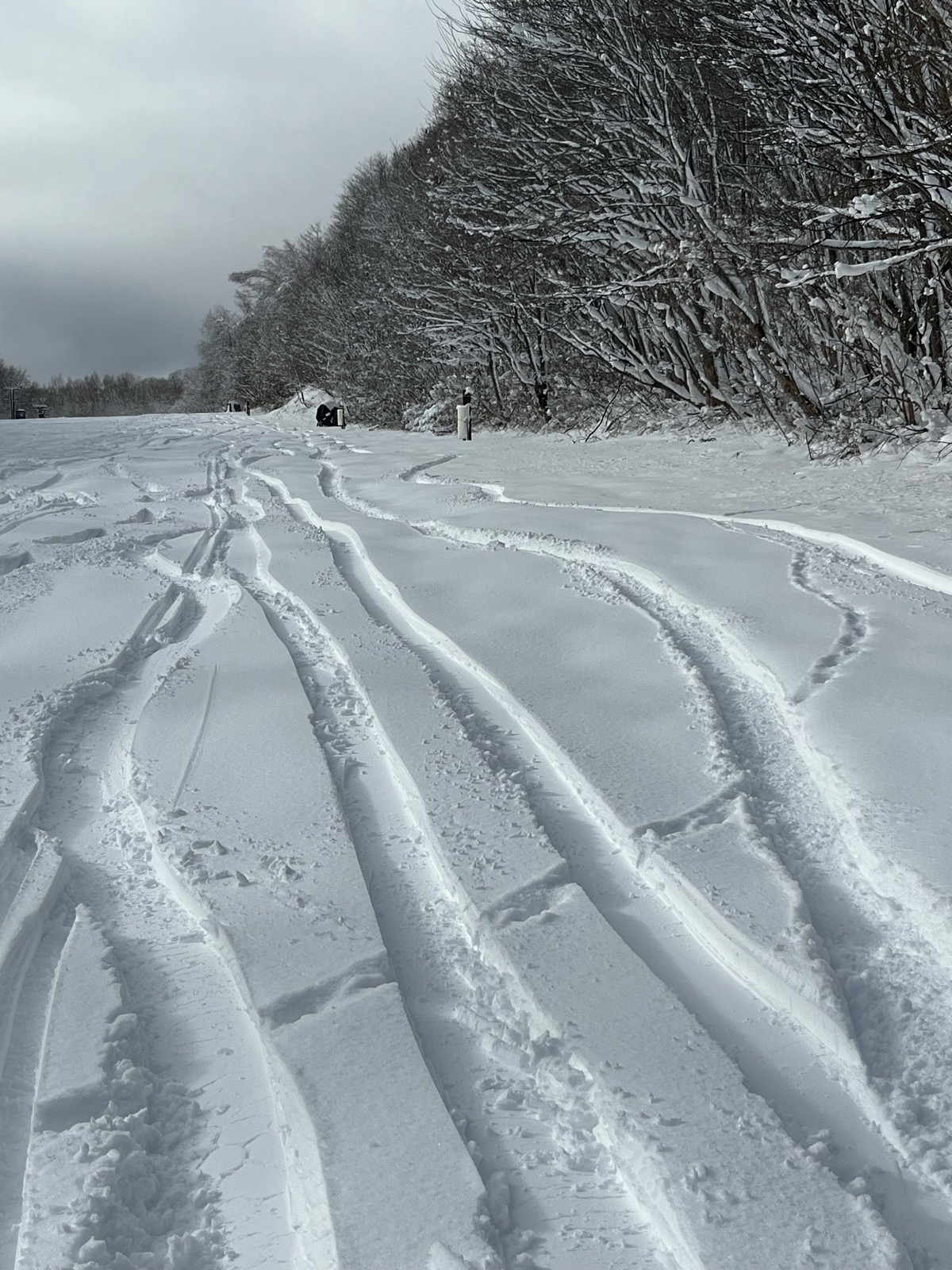 白馬乗鞍温泉スキー場