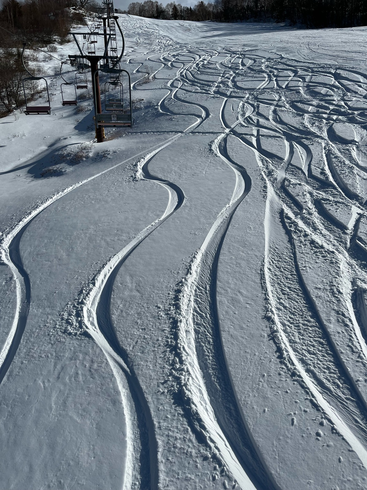 YAMABOKU ワイルドスノーパーク