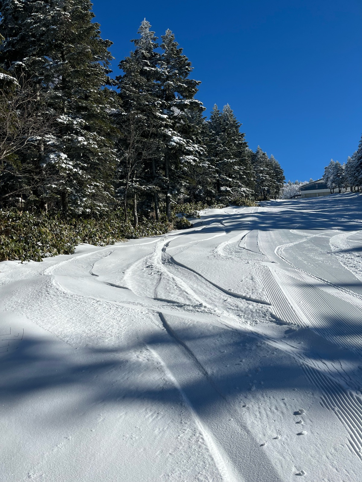 竜王スキーパーク