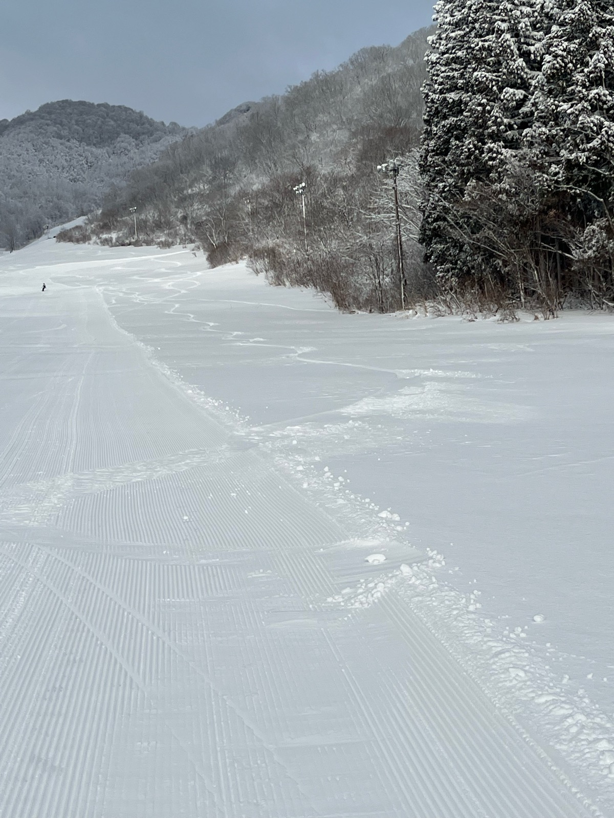 白馬コルチナスキー場