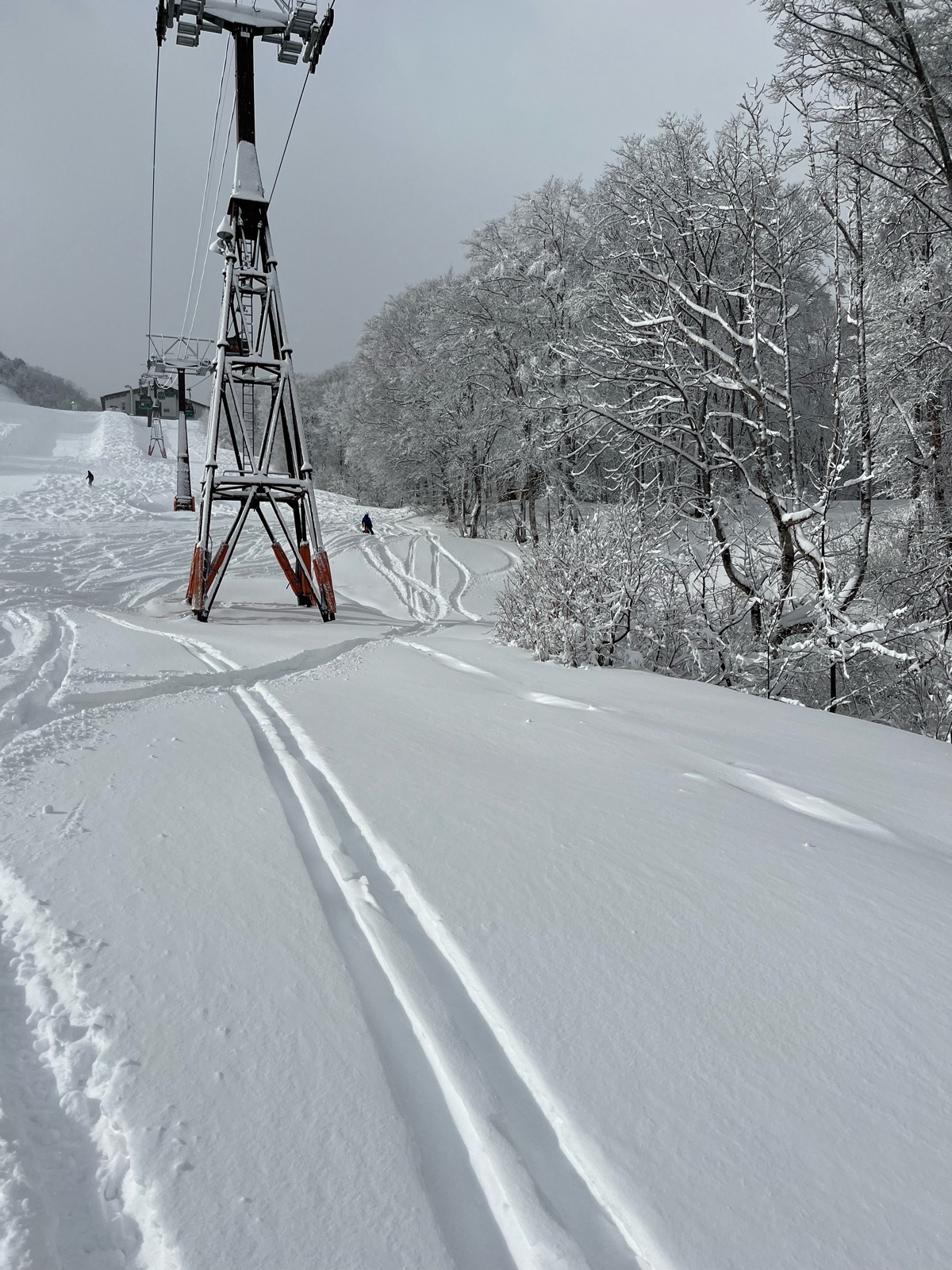 Hakuba47 ウィンタースポーツパーク