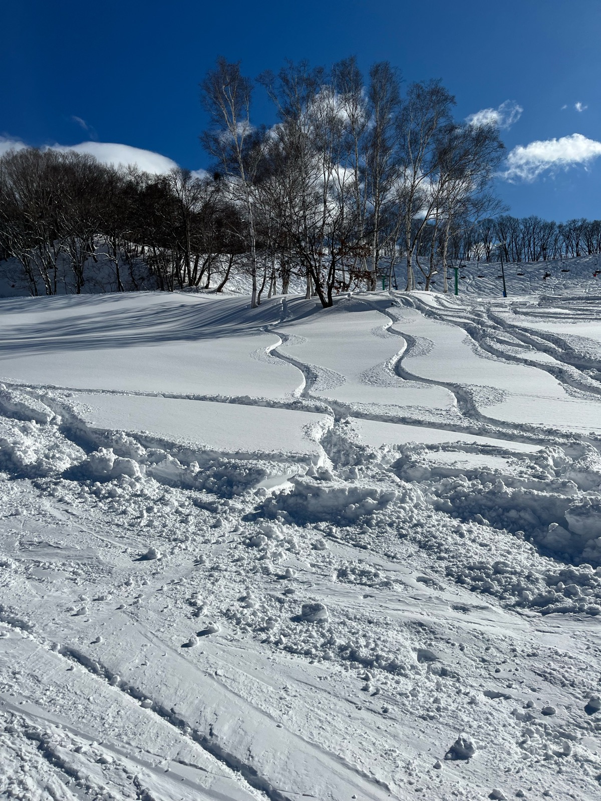 水上高原藤原スキー場