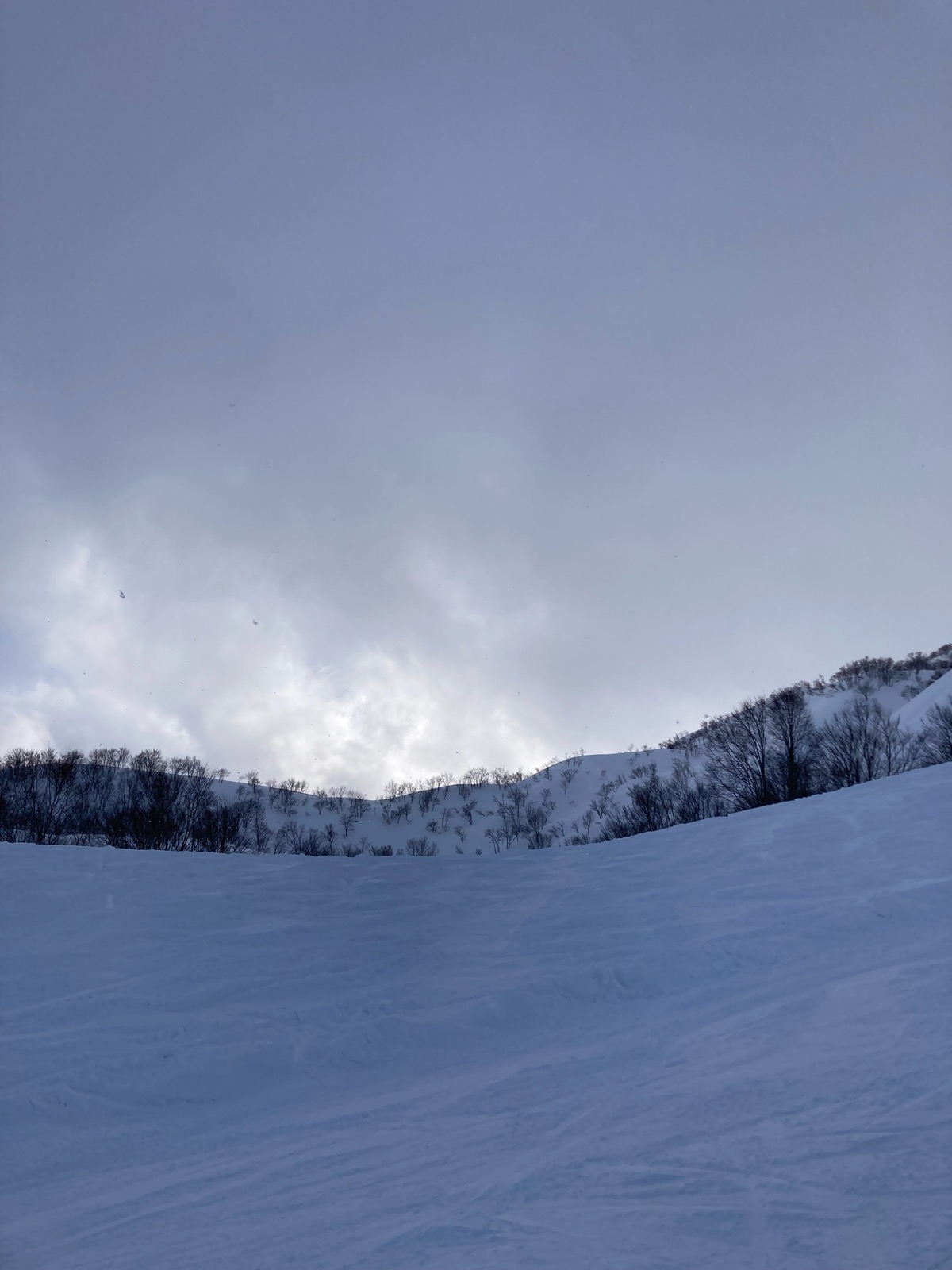 ロッテ アライリゾート