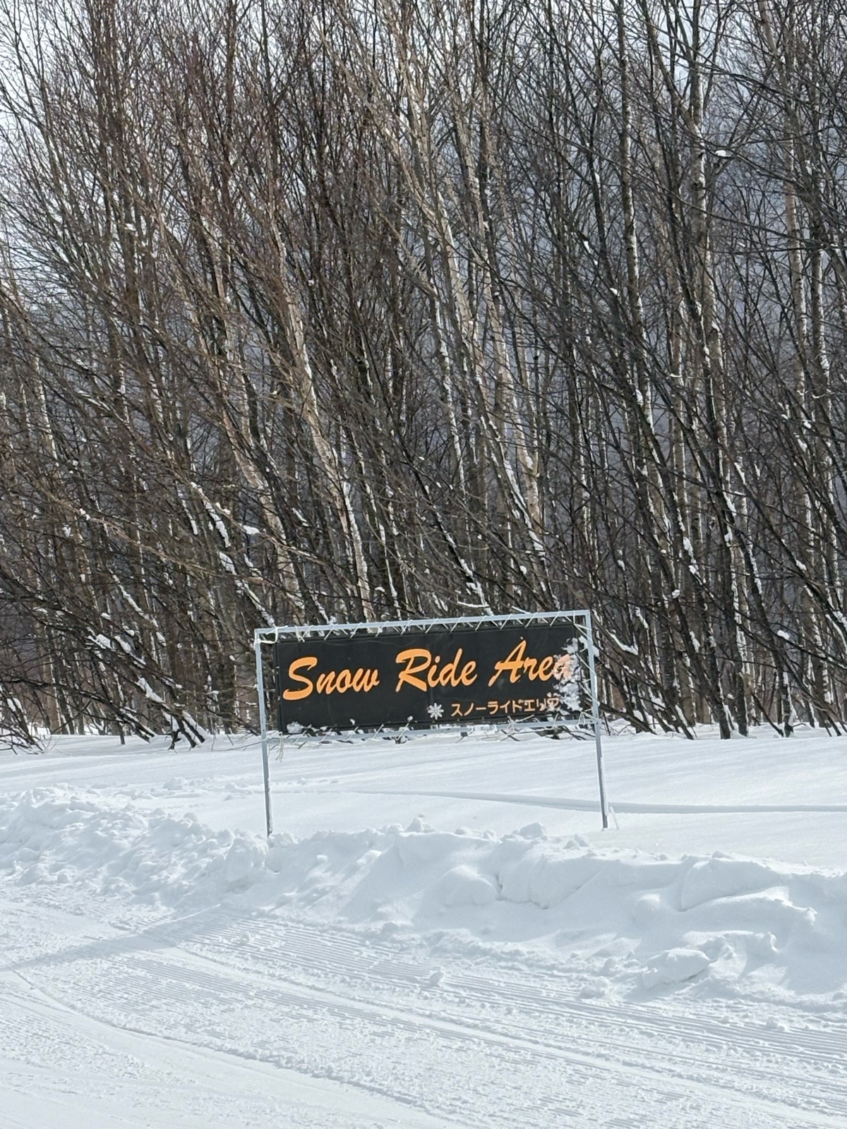 八幡平リゾート下倉スキー場