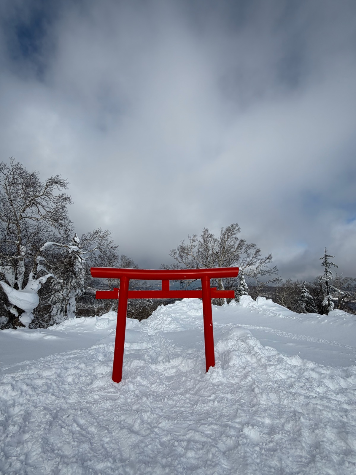 札幌国際スキー場