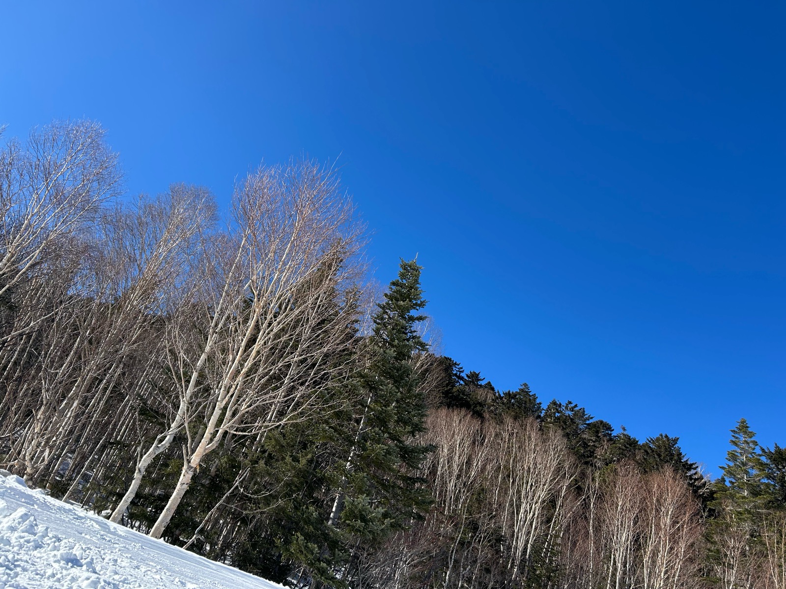 Mt.乗鞍スノーリゾート