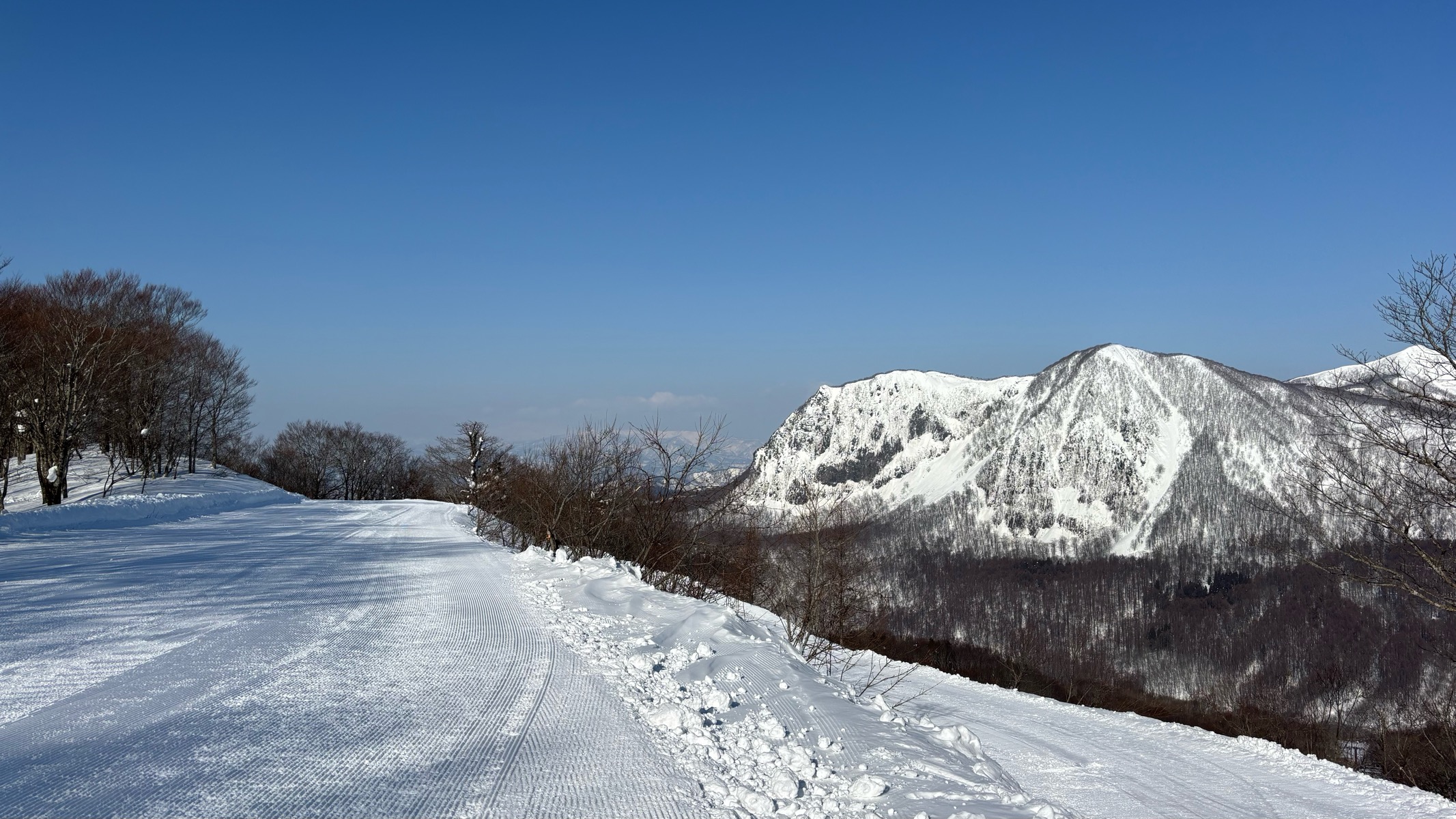 黒伏高原スノーパーク ジャングル・ジャングル