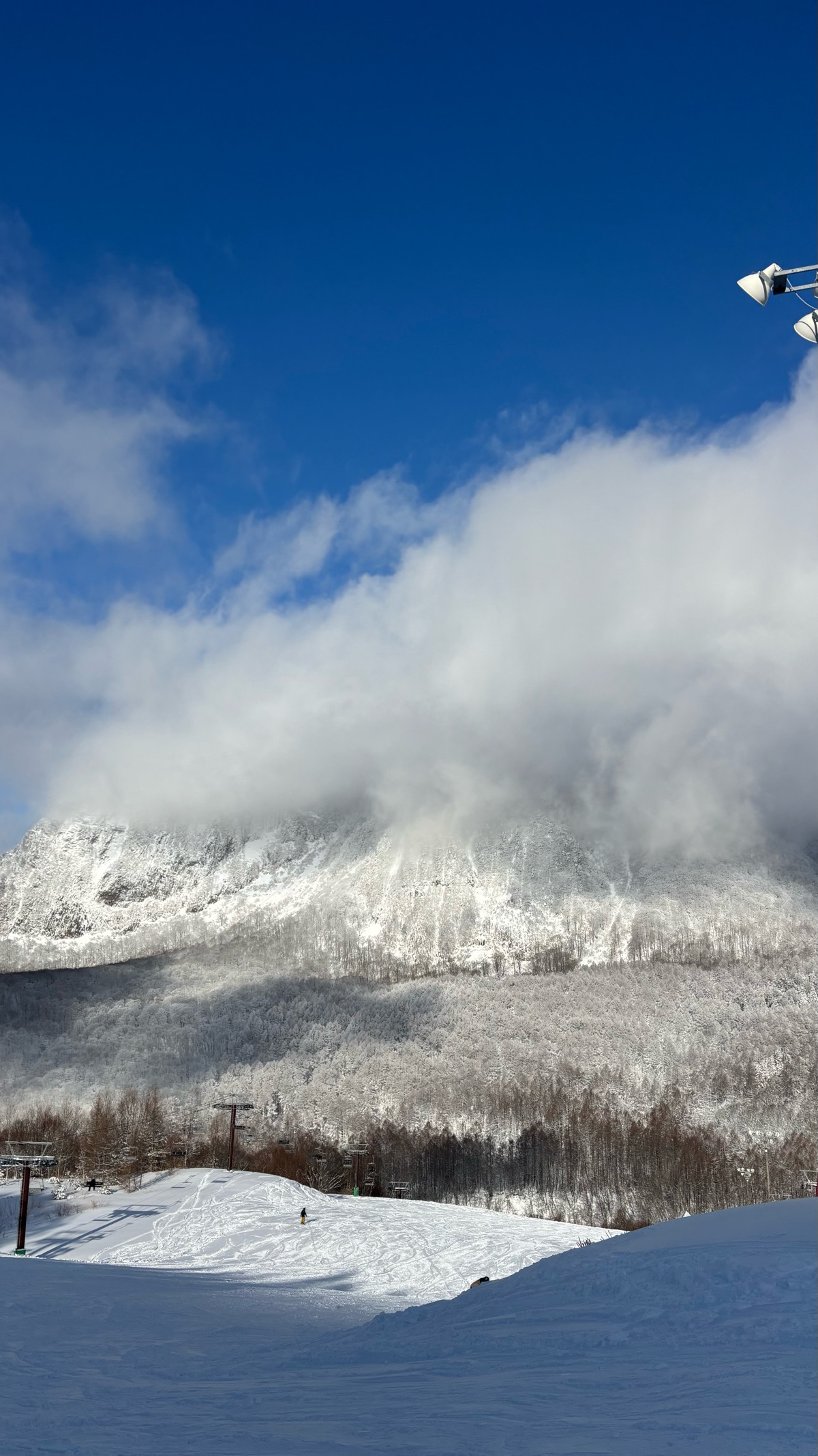 黒伏高原スノーパーク ジャングル・ジャングル