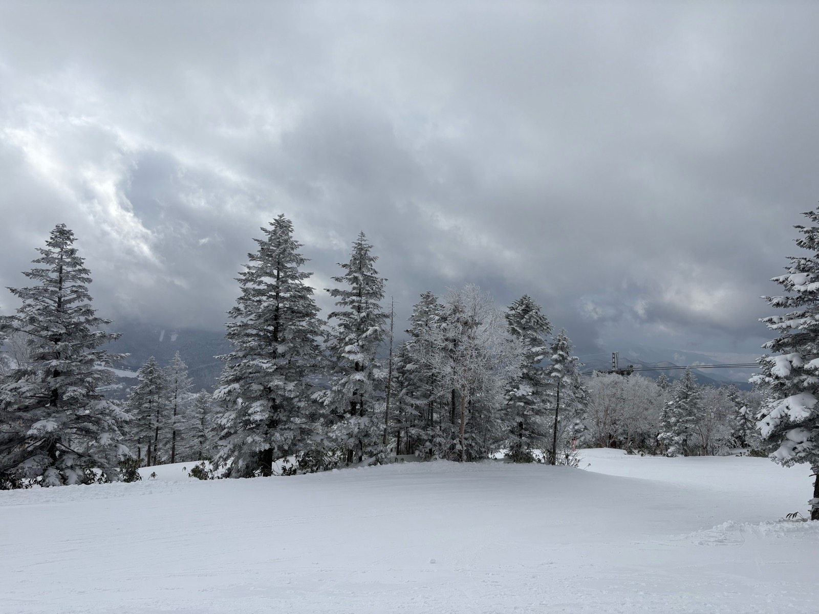 志賀高原 焼額山スキー場