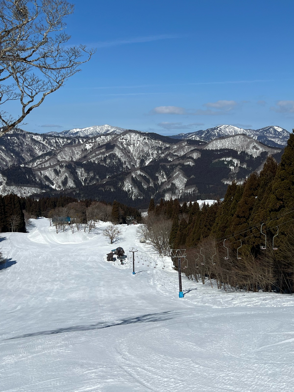 わかさ氷ノ山スキー場
