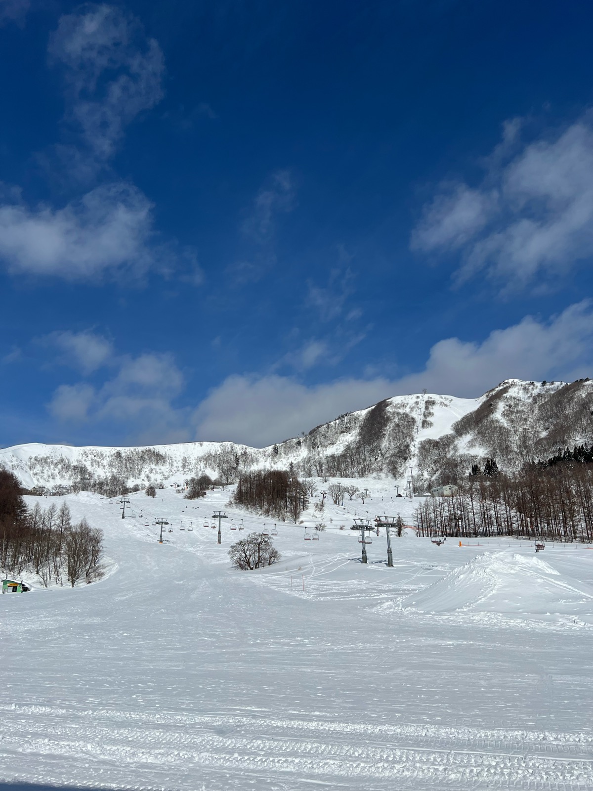 ハチ高原スキー場