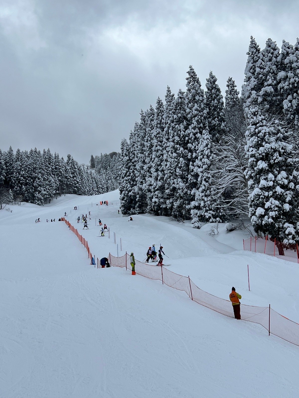 わかさ氷ノ山スキー場