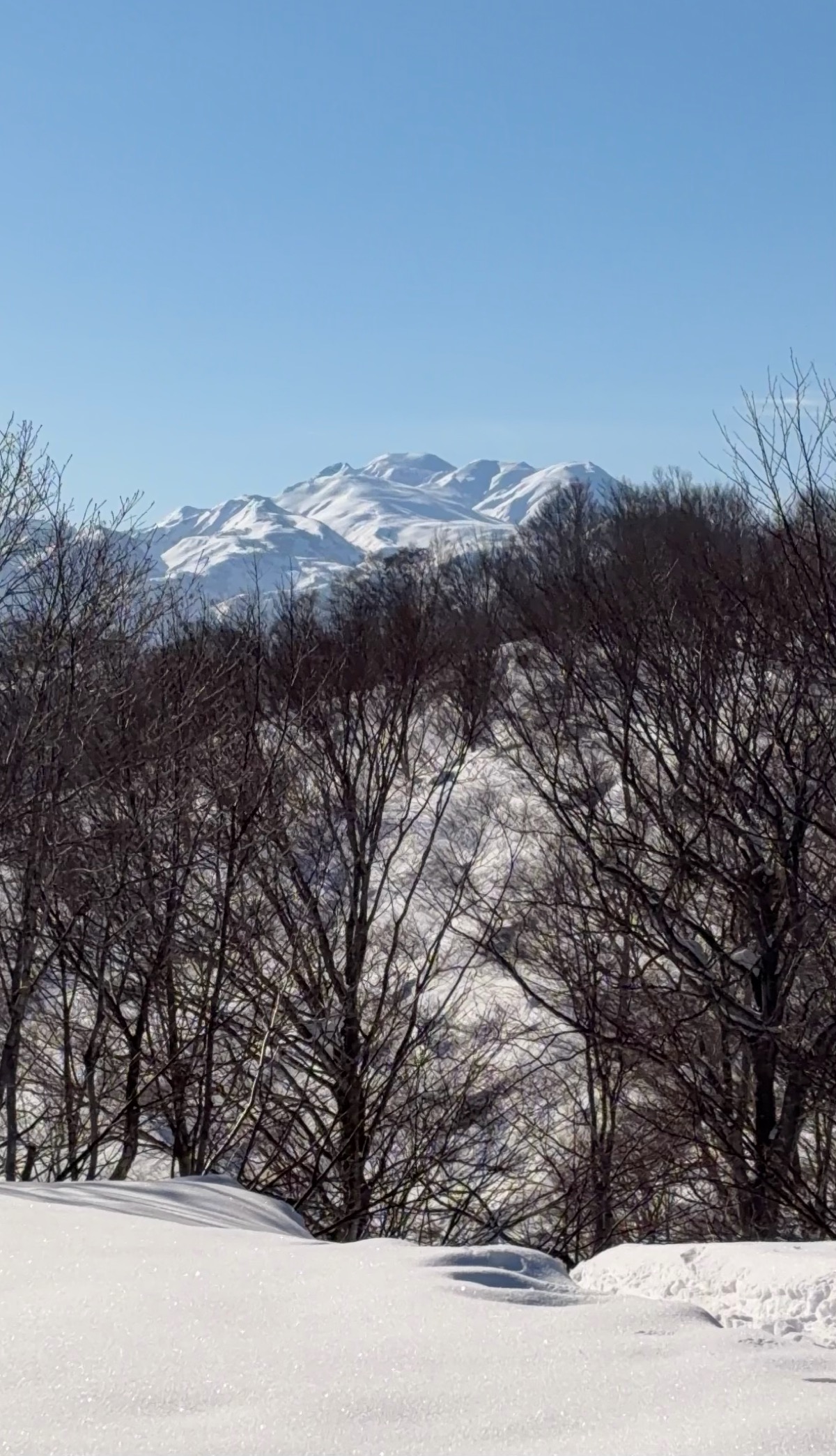 白山セイモアスキー場