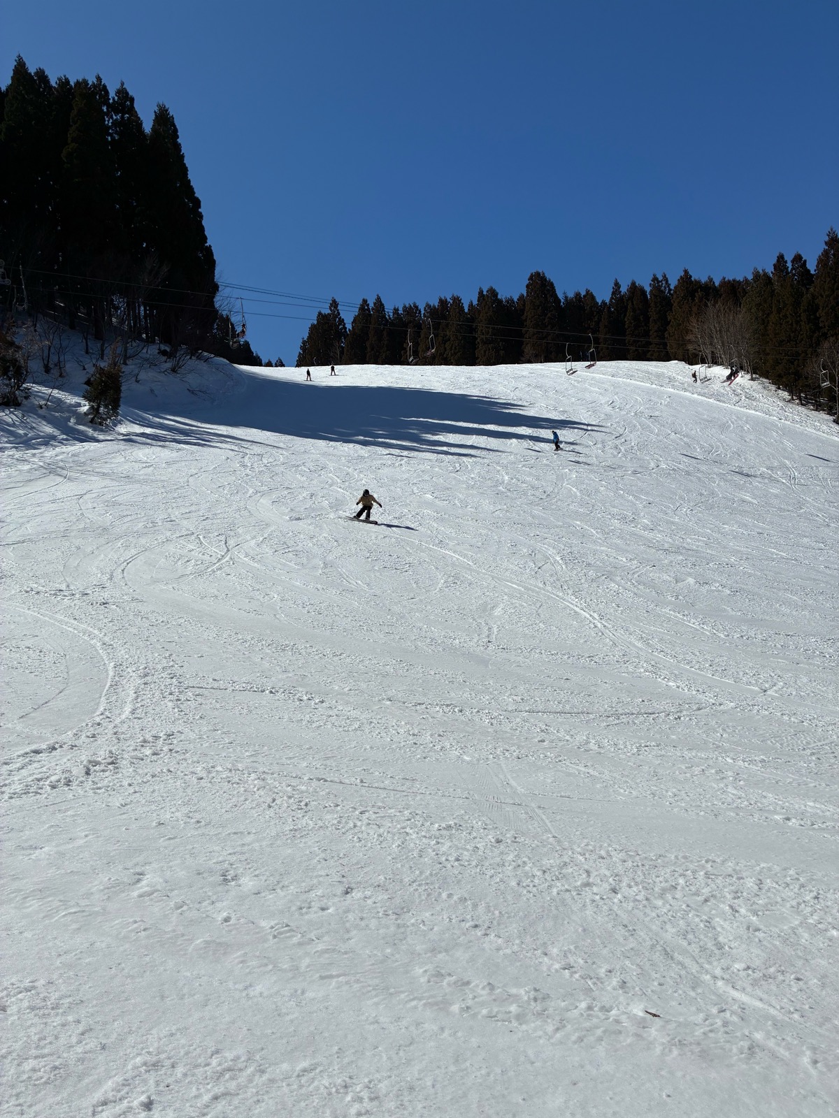 わかさ氷ノ山スキー場