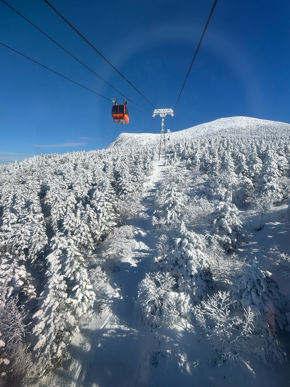 蔵王温泉スキー場