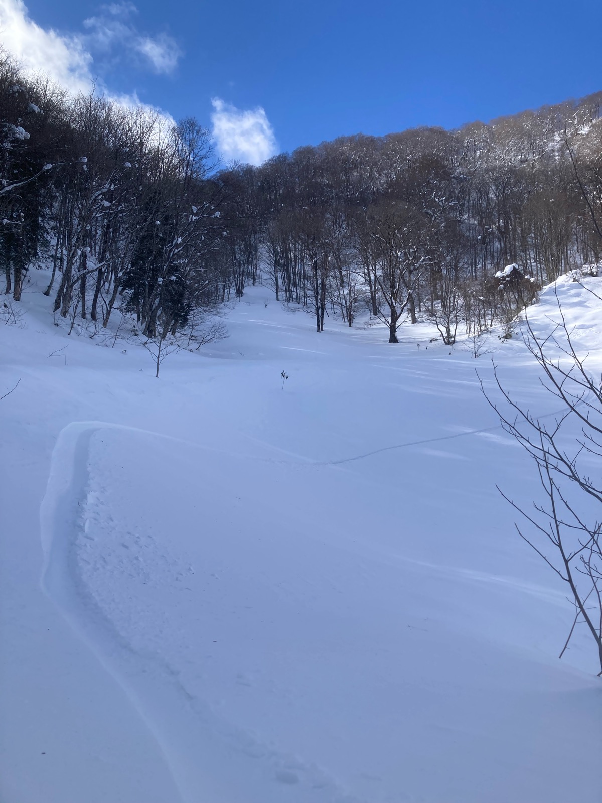 めいほうスキー場