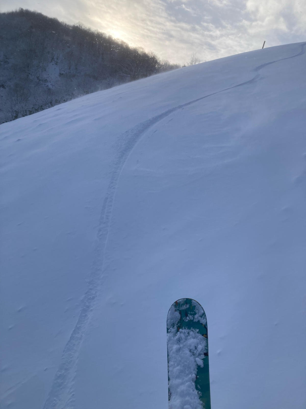 ひだ流葉スキー場