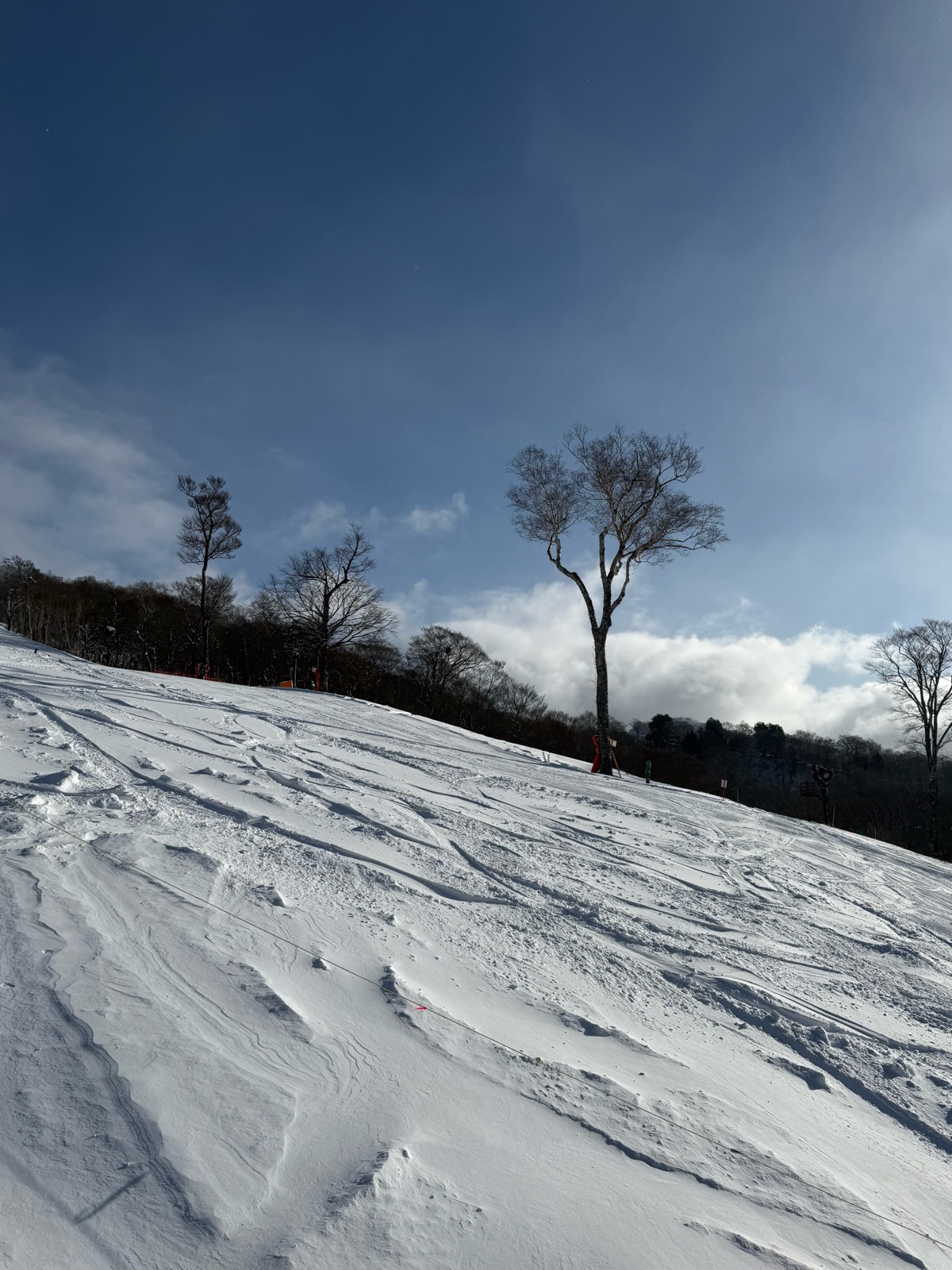 たんばらスキーパーク