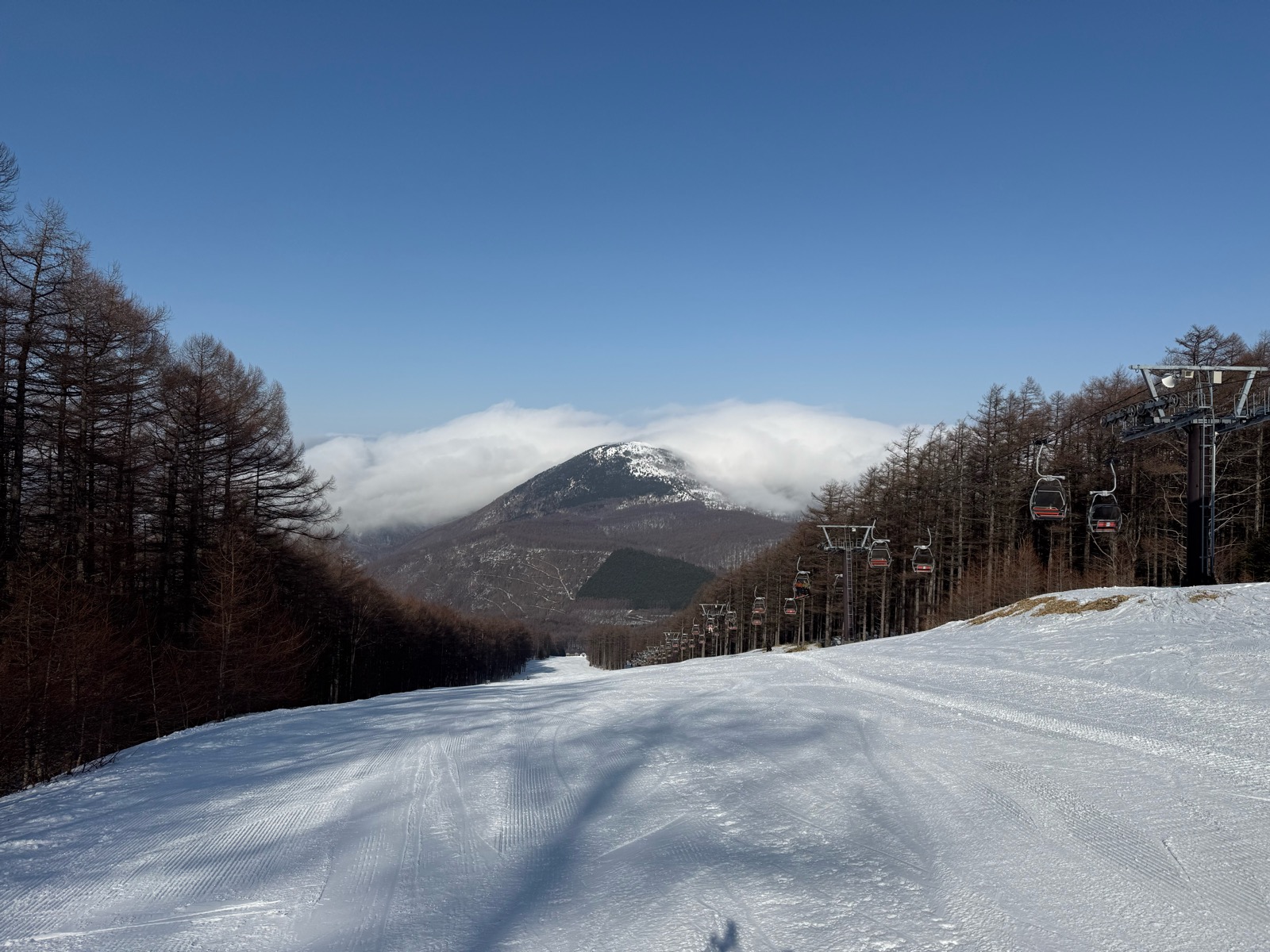 湯の丸スキー場