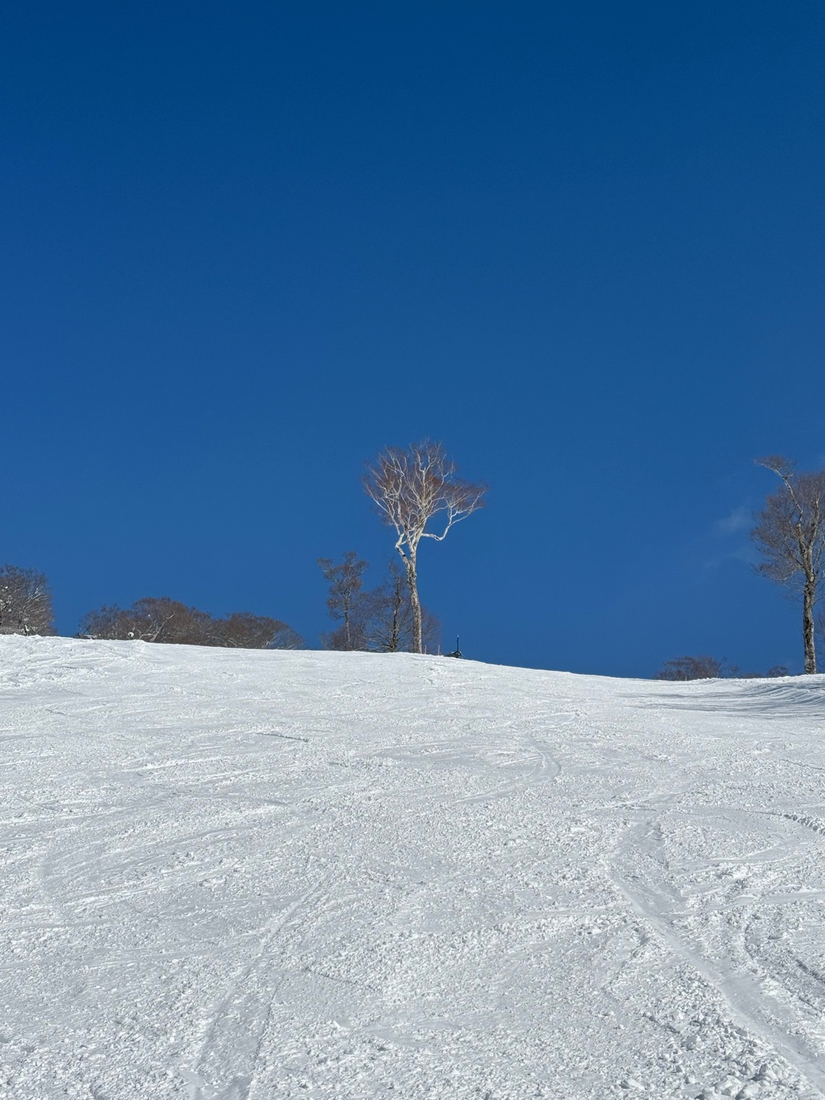 たんばらスキーパーク