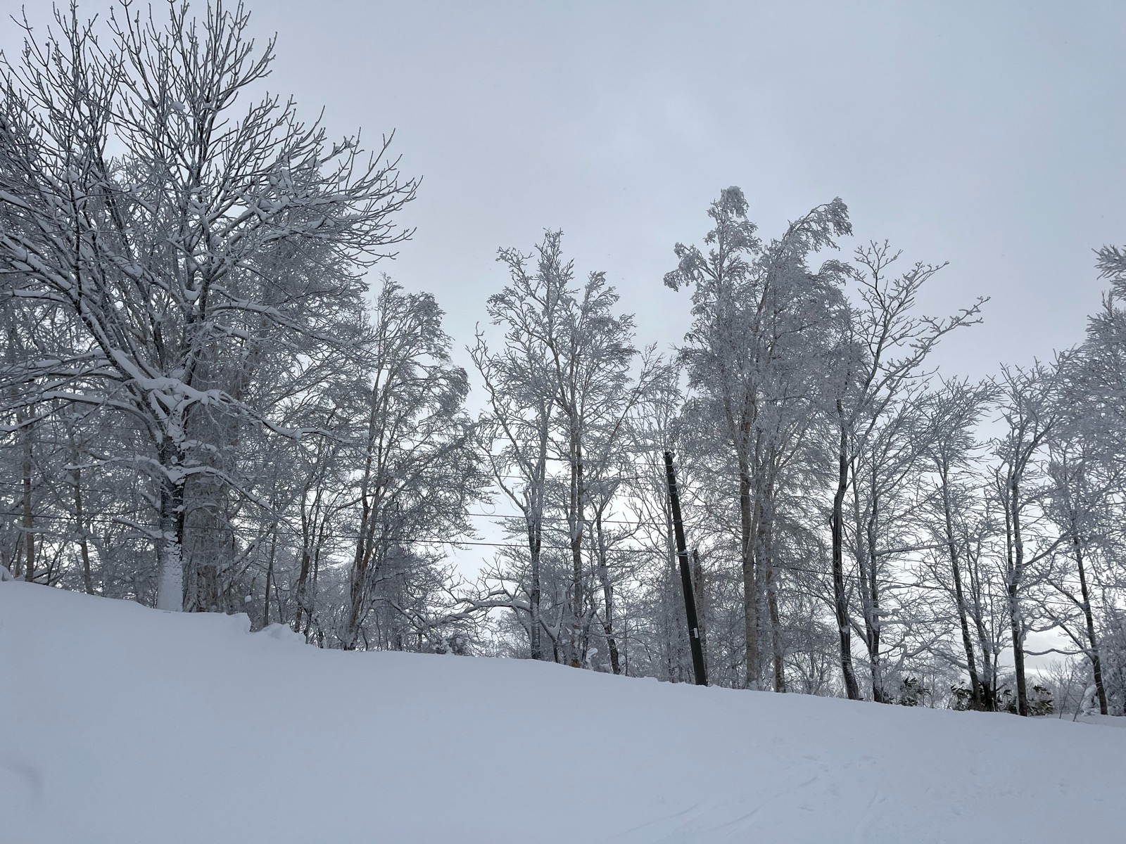 カムイスキーリンクス
