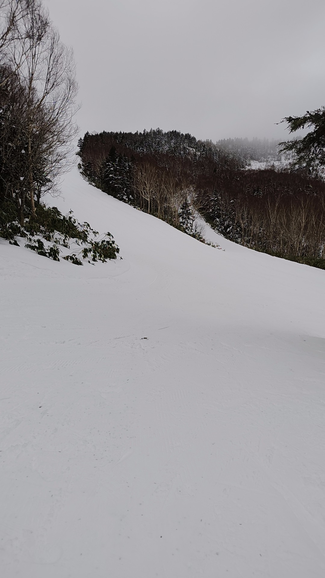 志賀高原 焼額山