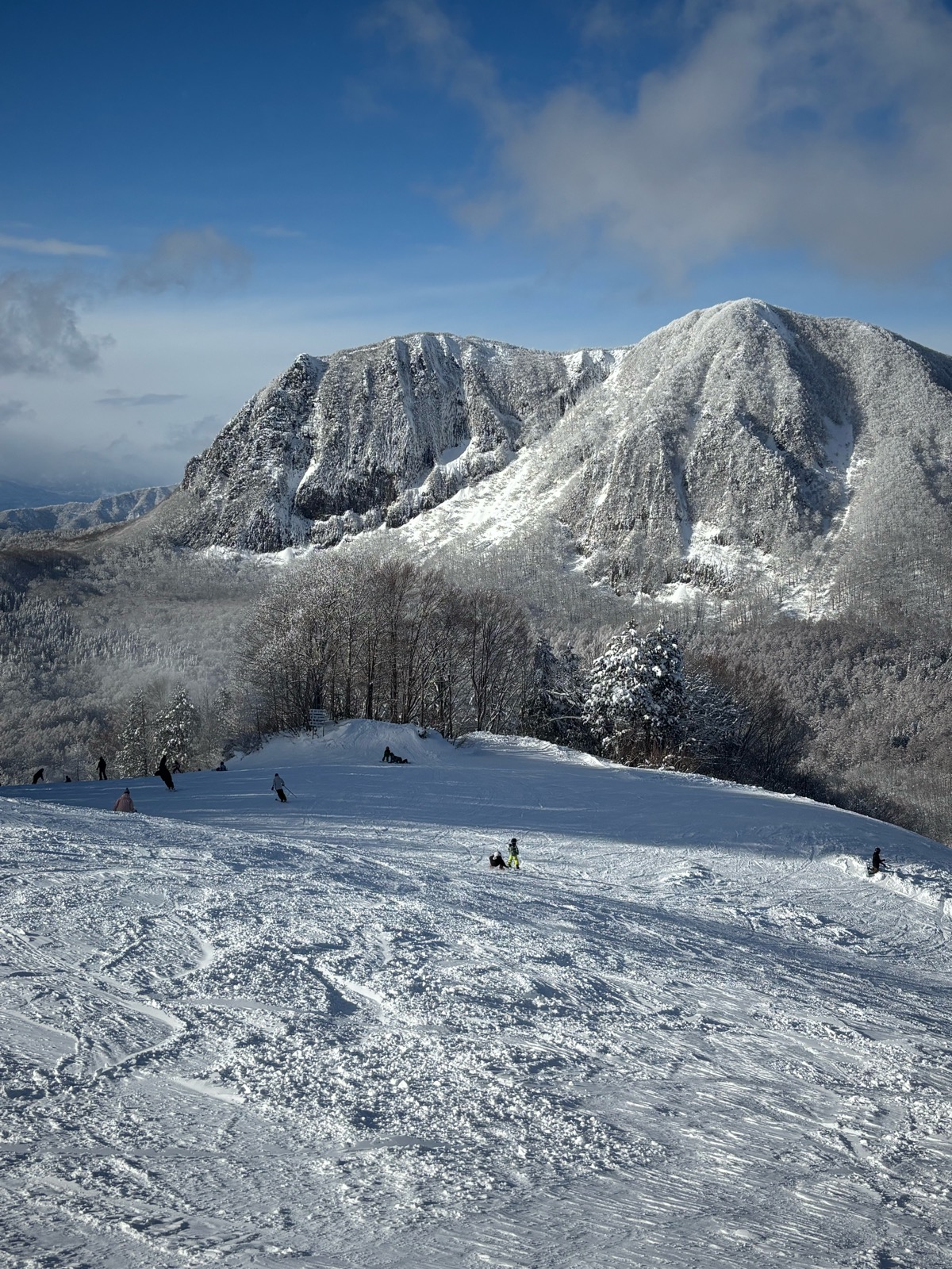 黒伏高原スノーパーク ジャングル・ジャングル
