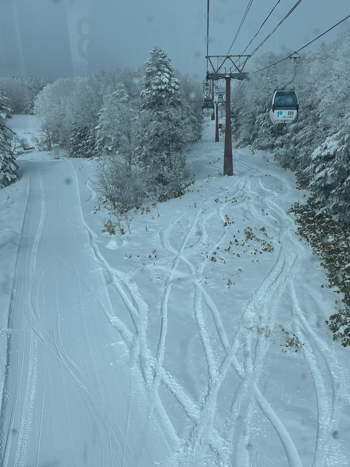 パルコール嬬恋スキーリゾート